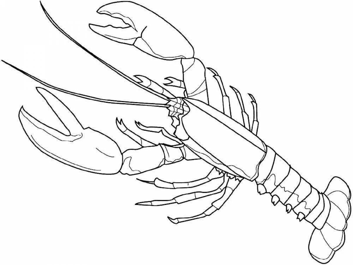 Рак рисунок. Лангуст раскраска. Омар раскраска. Лобстер раскраска для детей. Рачки для раскрашивания.
