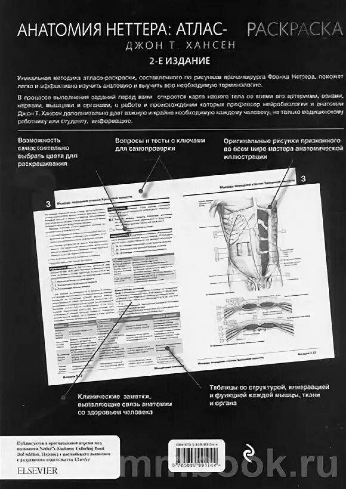 Неврология атлас раскраска с рисунками неттера