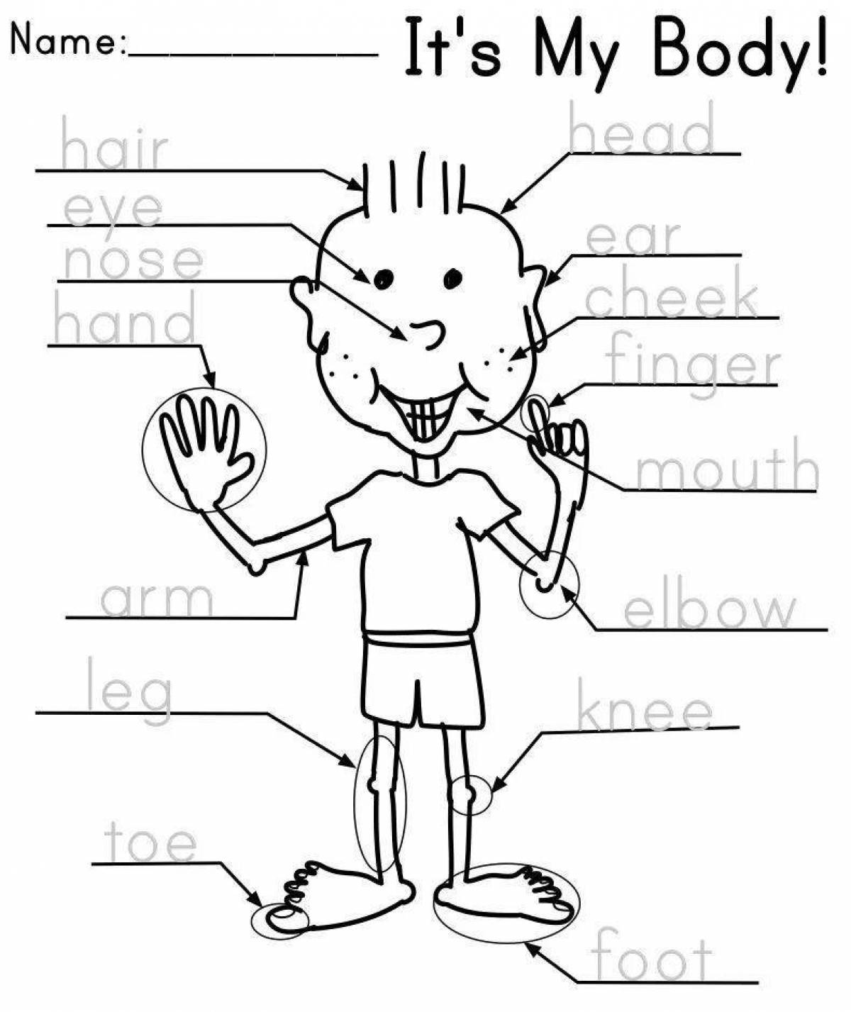 For children English body parts #5