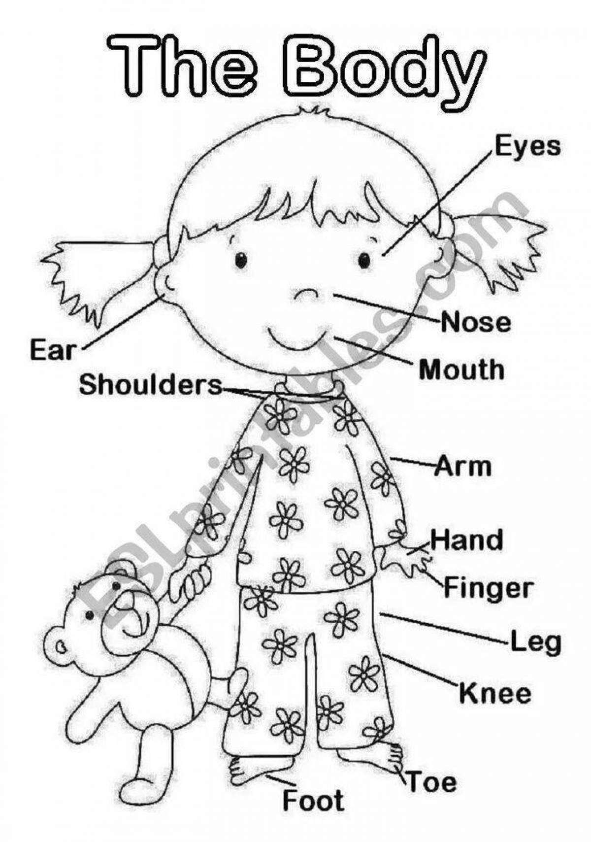 For children English body parts #13