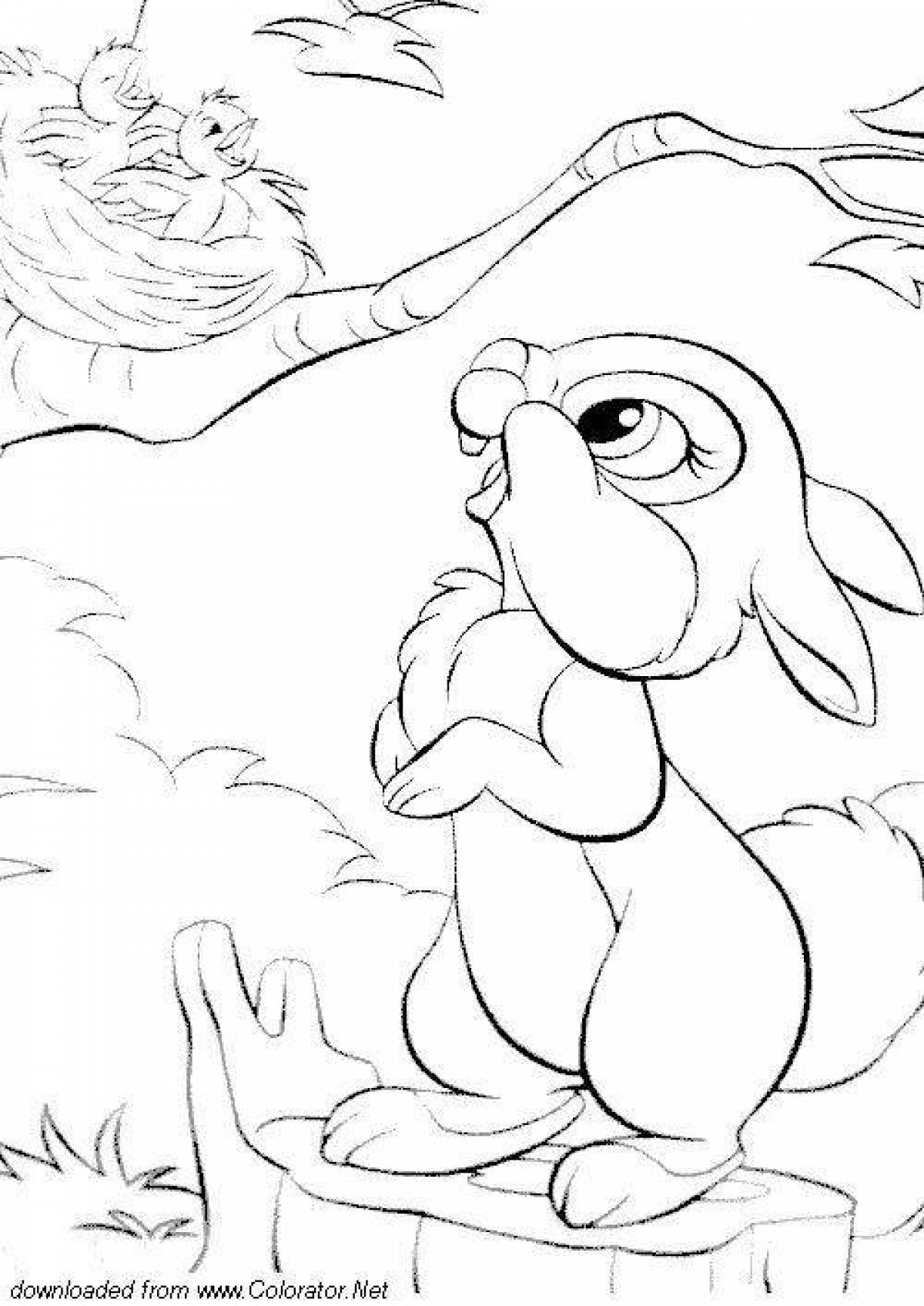 Charming hare coloring book