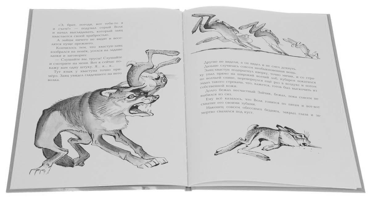 Fabulous hare coloring book