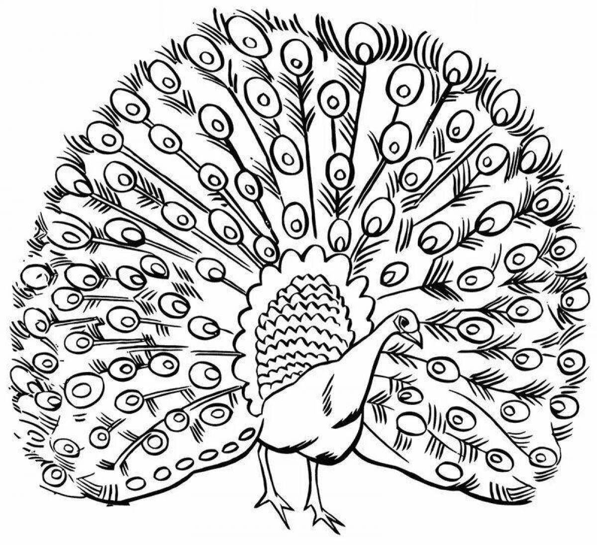 Awesome peacock coloring book