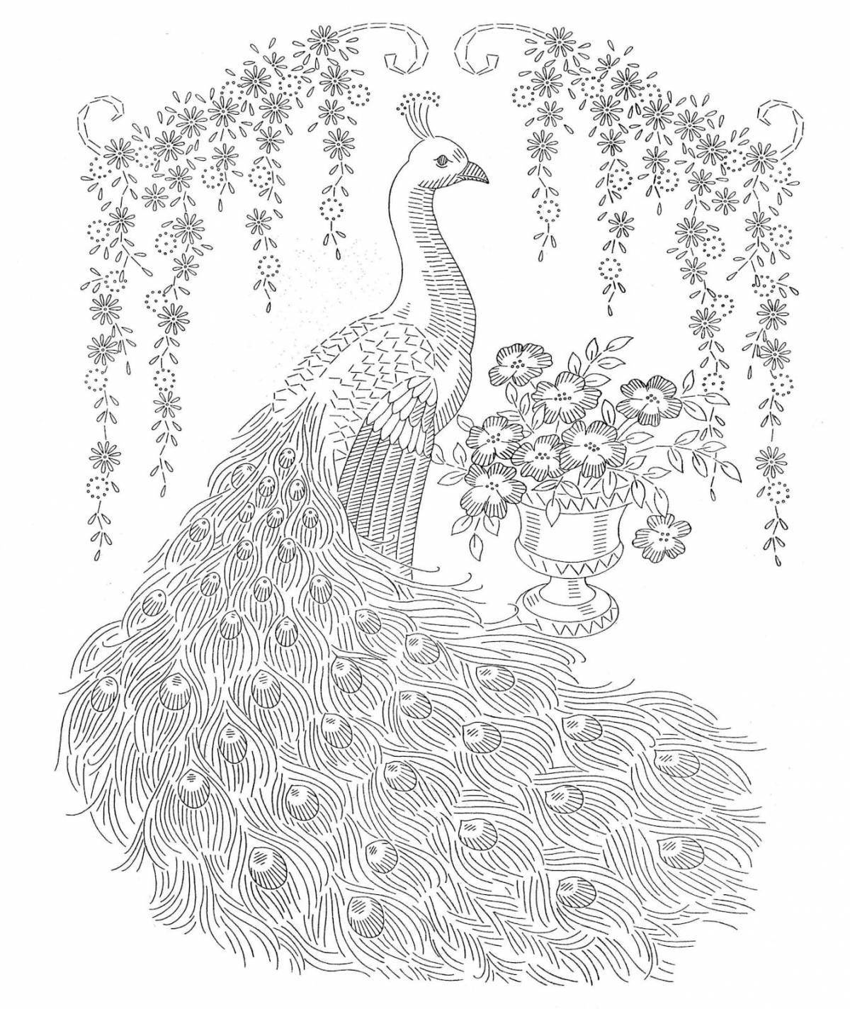 Delicate peacock coloring book