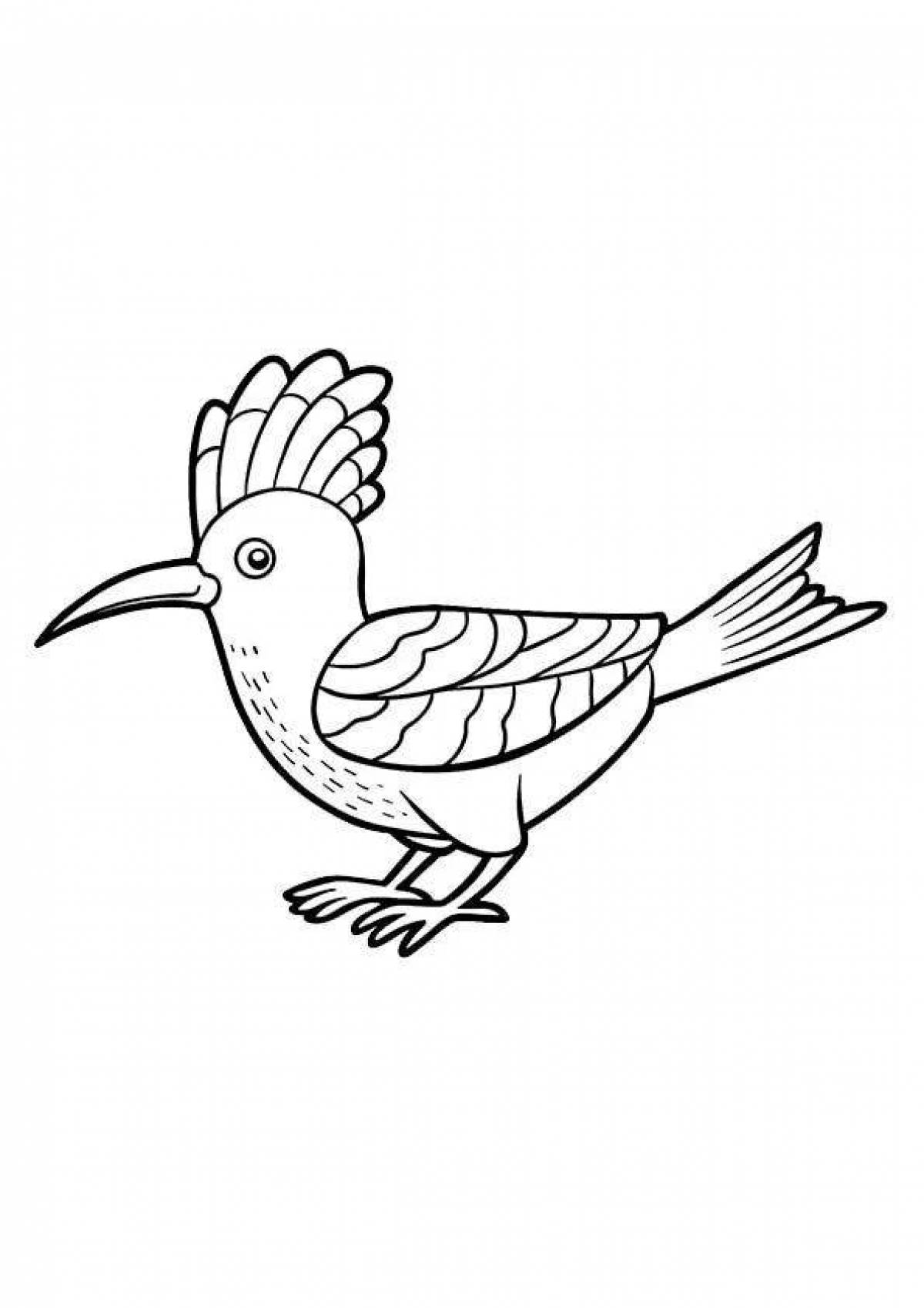 Colorful hoopoe coloring page
