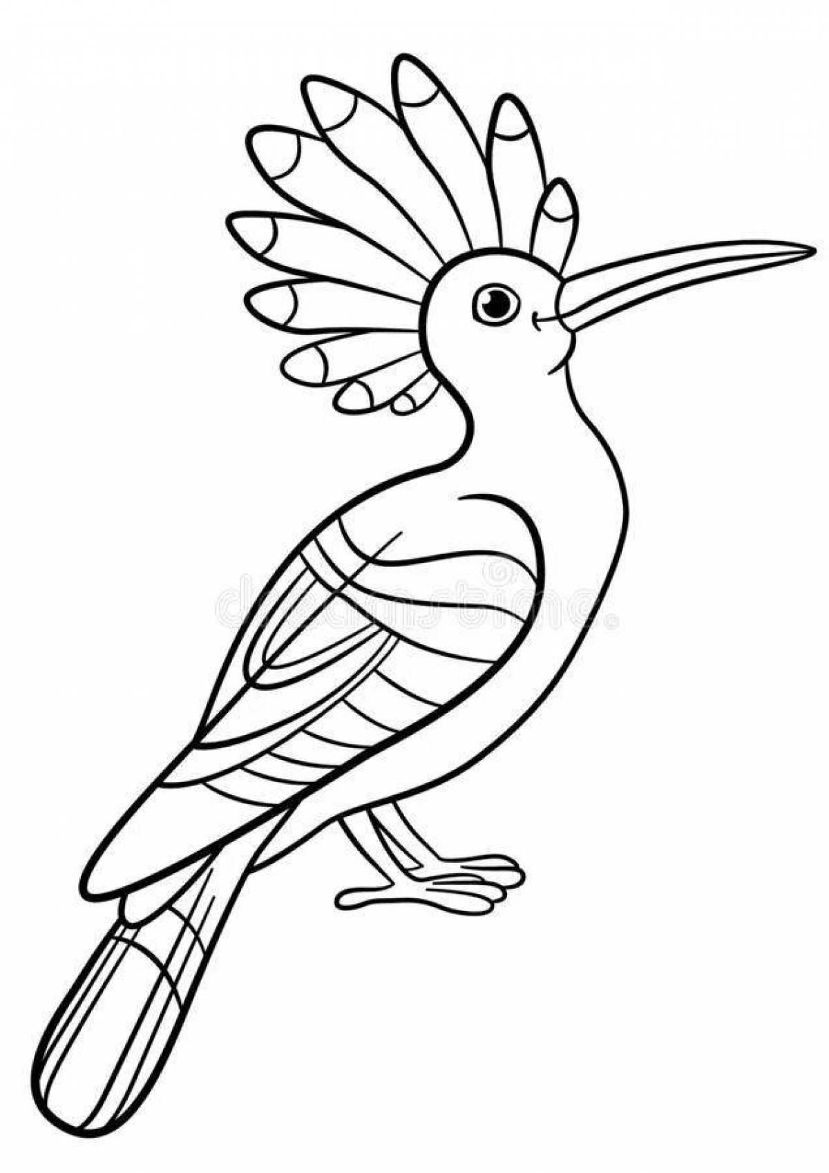 Coloring book gorgeous hoopoe