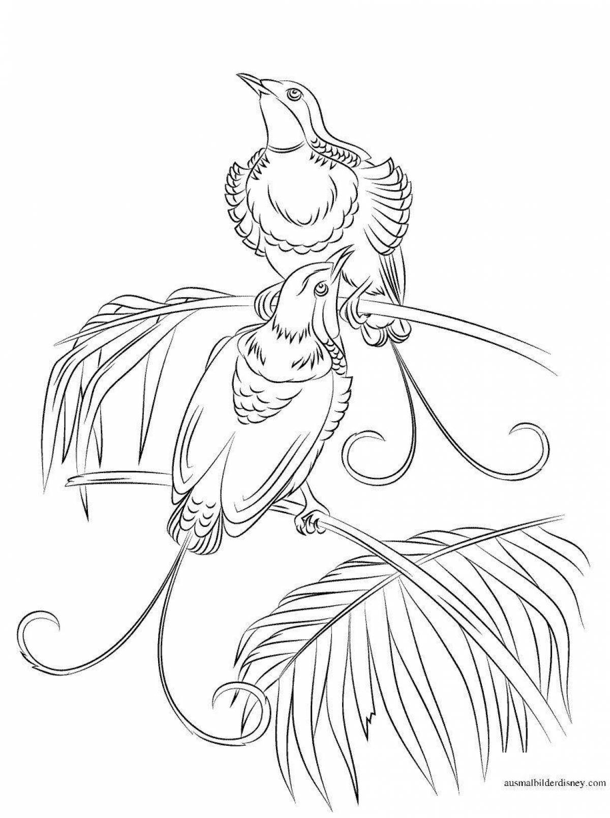 Awesome hoopoe coloring page