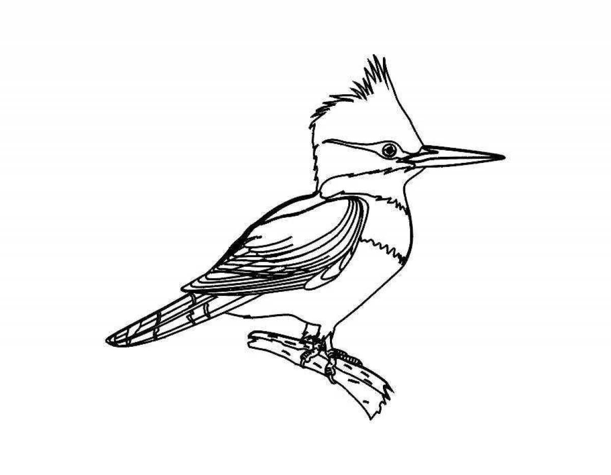 Charming hoopoe coloring page