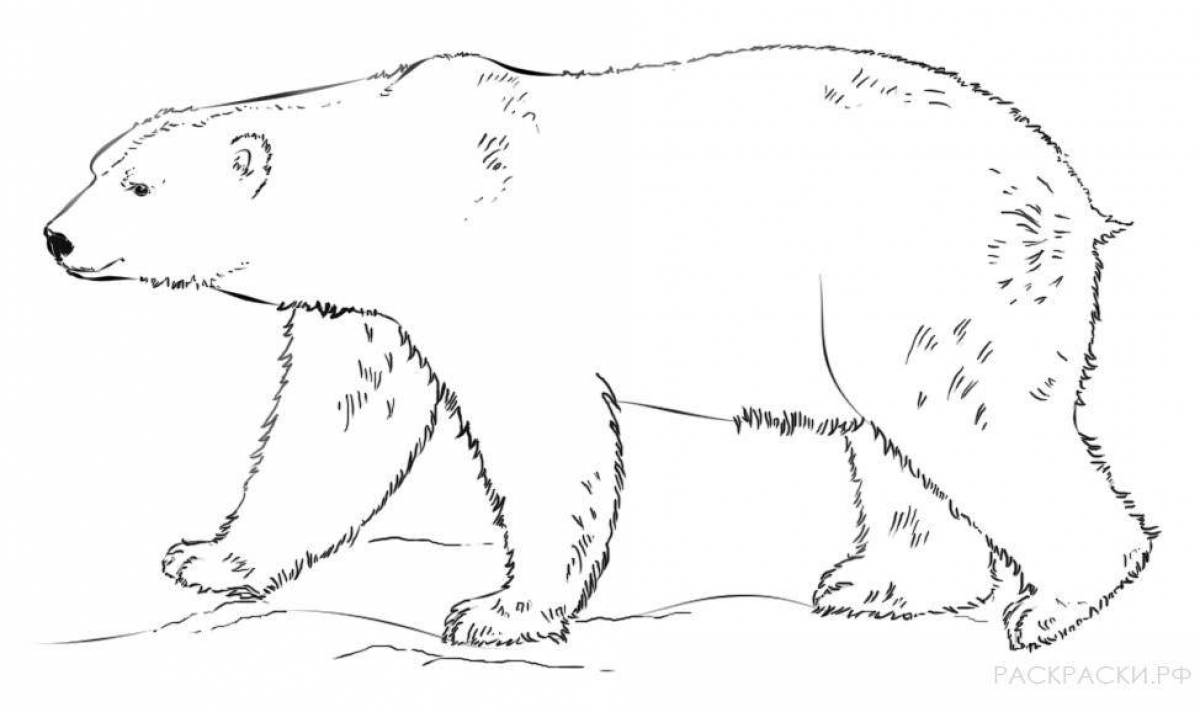 Дружелюбный медвежонок-раскраска