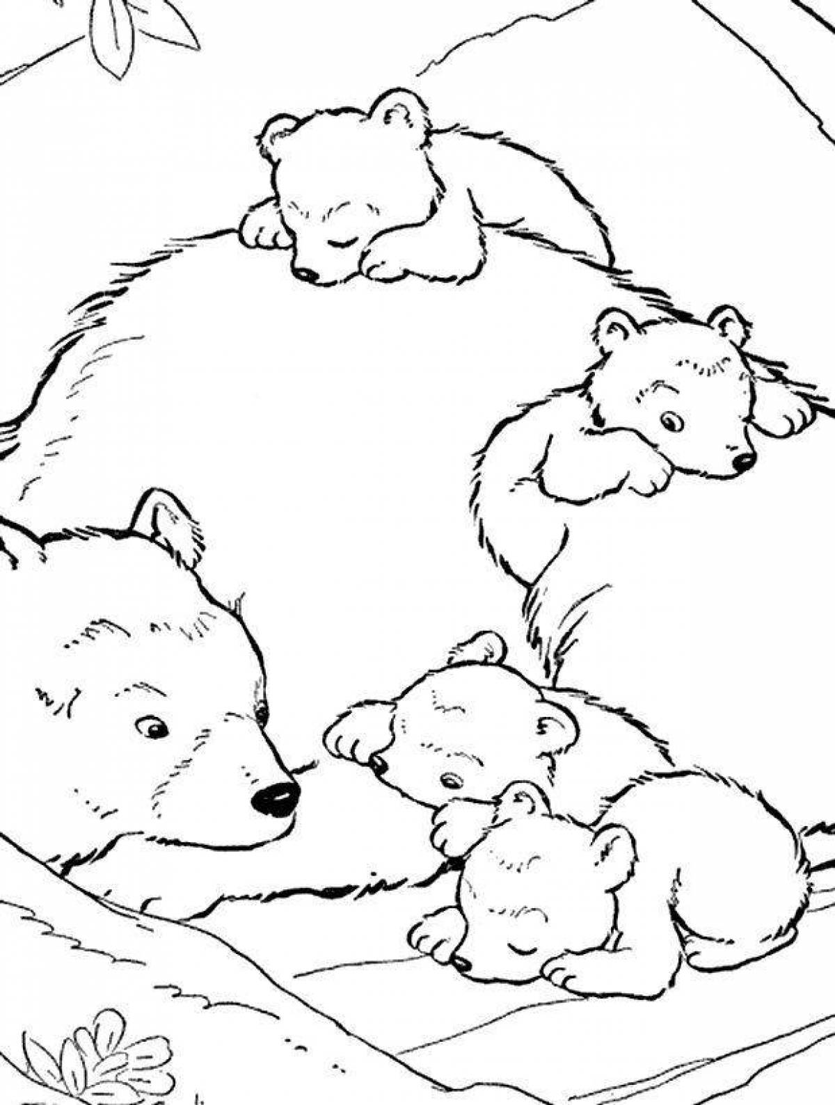 Любознательный медведь-раскраска
