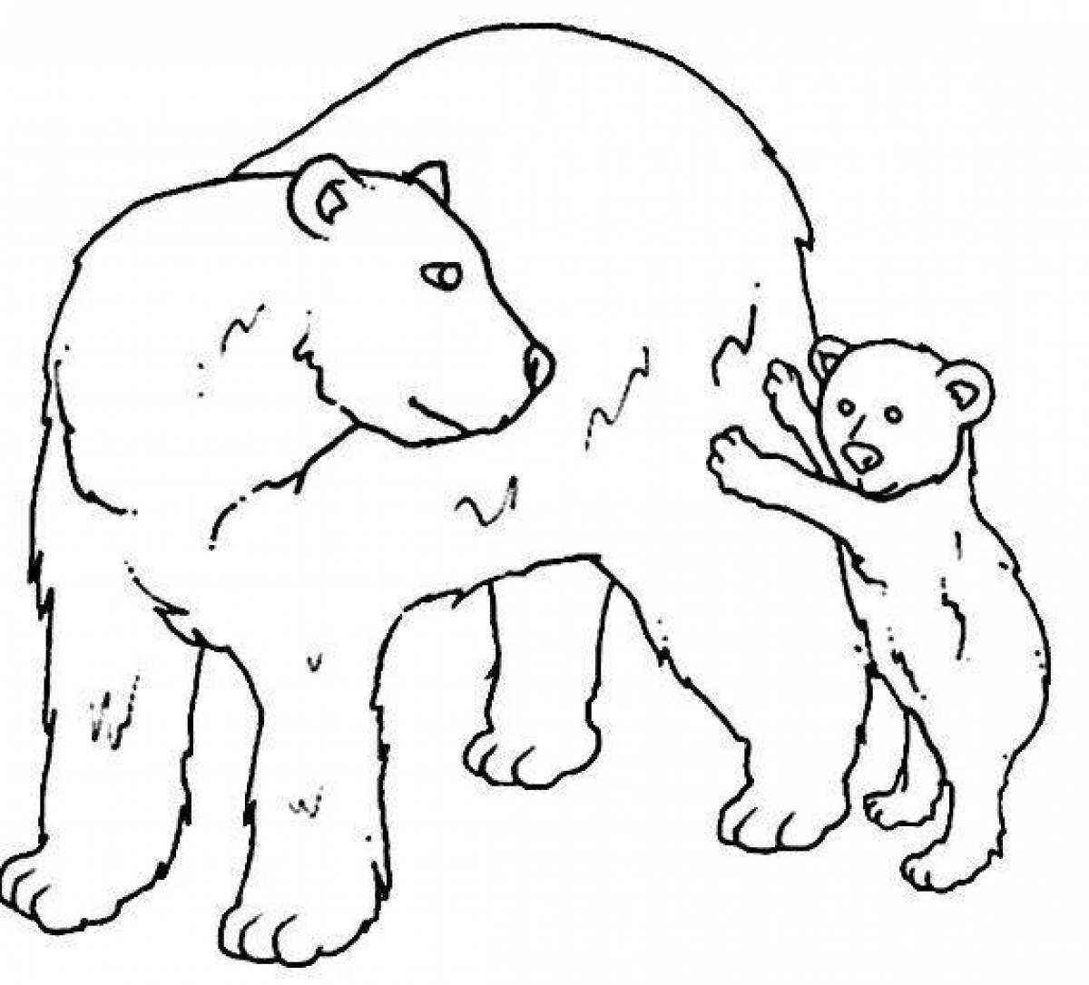 Любопытный медведь-раскраска