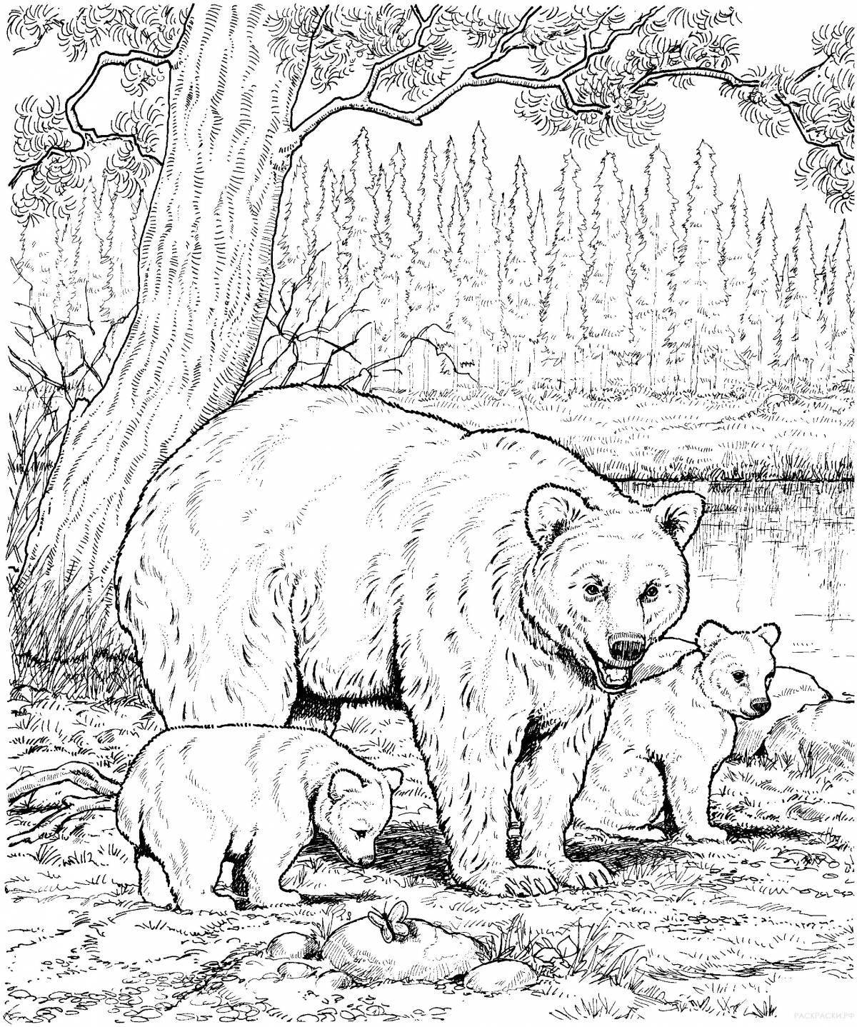 Brave bear coloring book