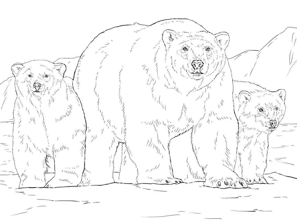 Royal bear coloring book