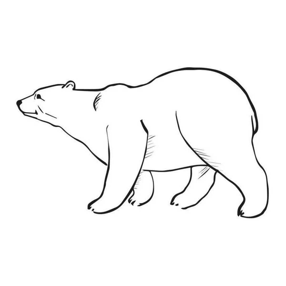 Великолепный медведь-раскраска