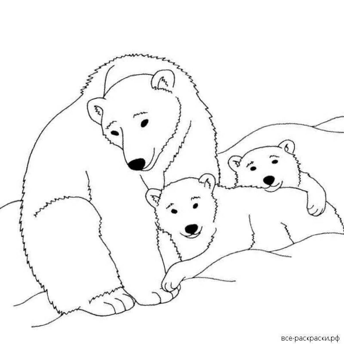 Белая медведица и медвежонок Раскраска картина по номерам на холсте Z-AB купить в Москве и СПб