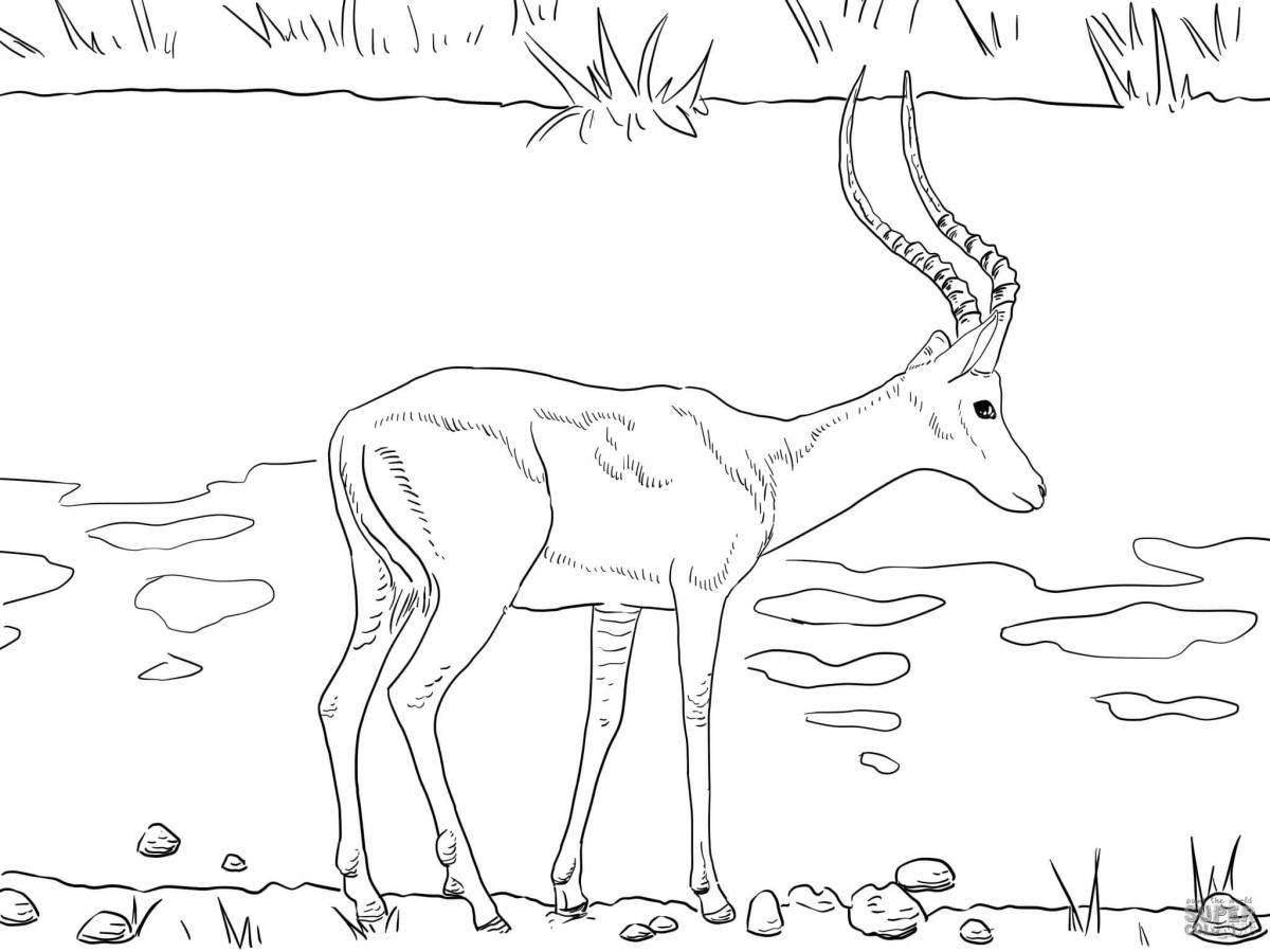 Glowing steppe coloring page