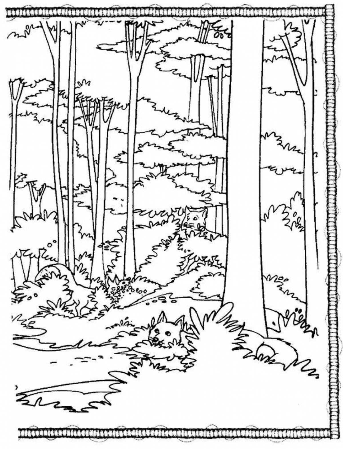 Colorful taiga coloring page