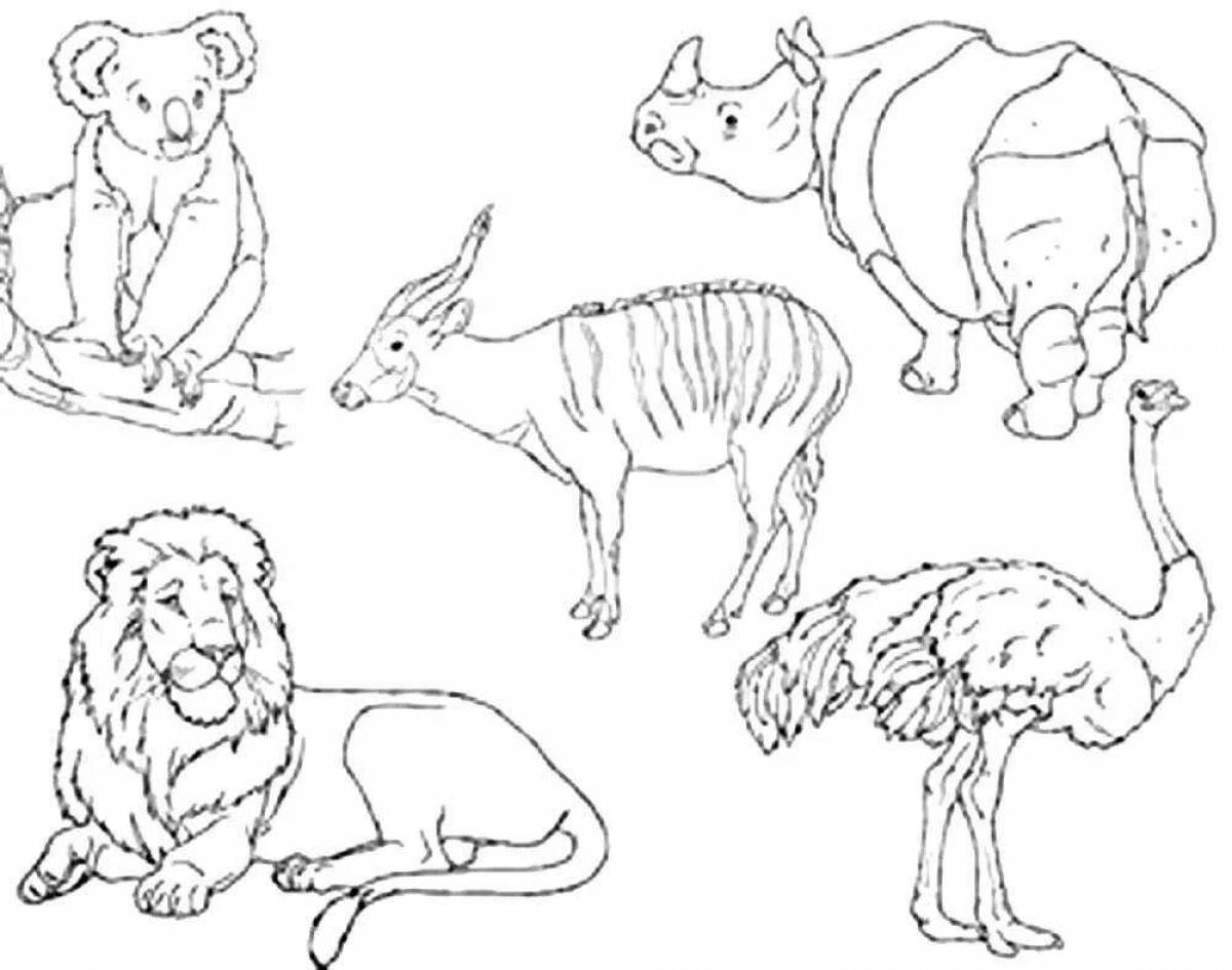 Majestic coloring pages mammals