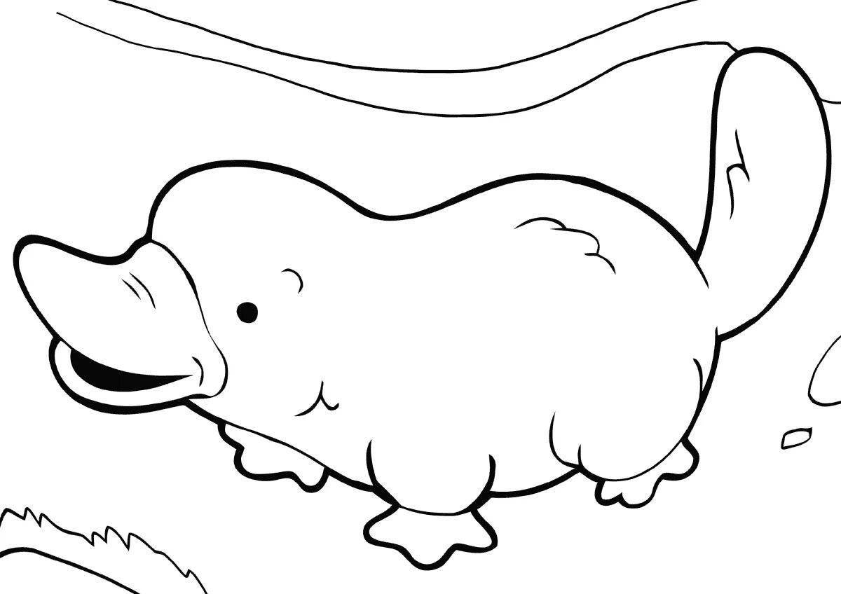 Fun coloring pages of mammals