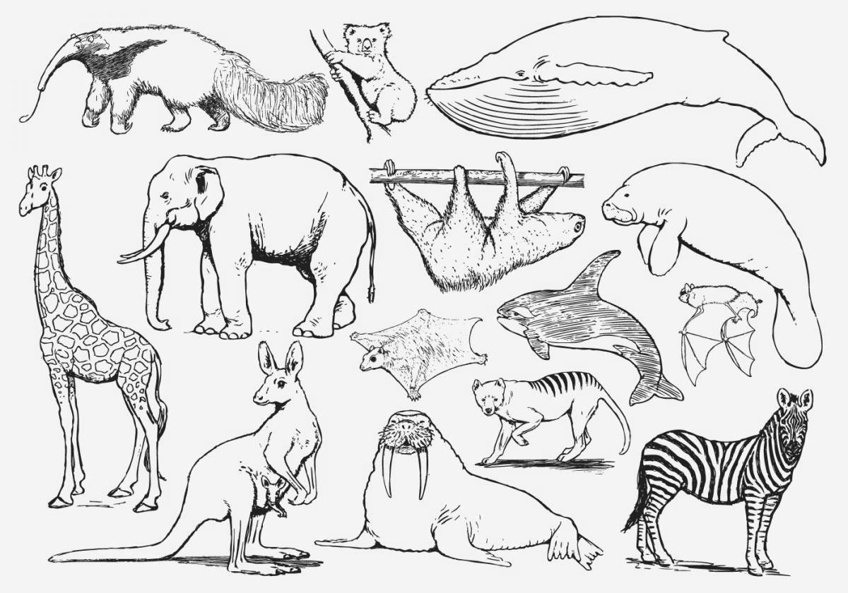 Great coloring mammals