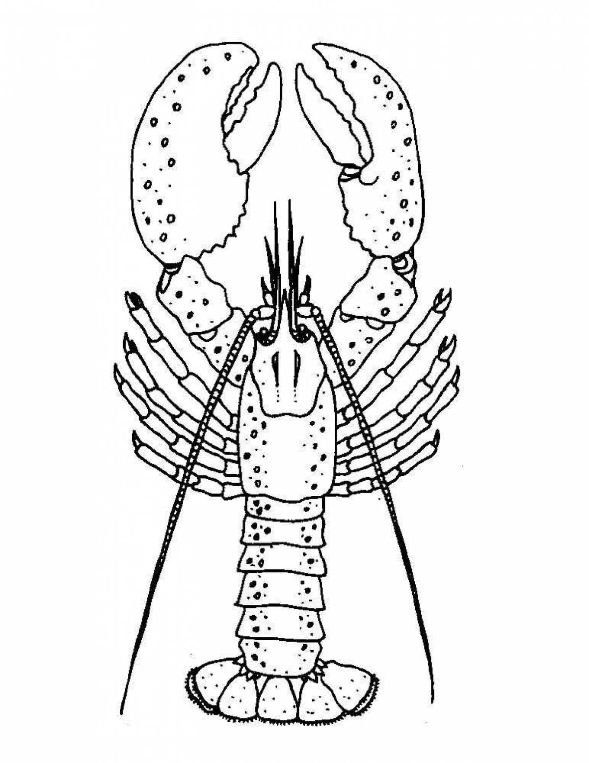 Animated lobster coloring page