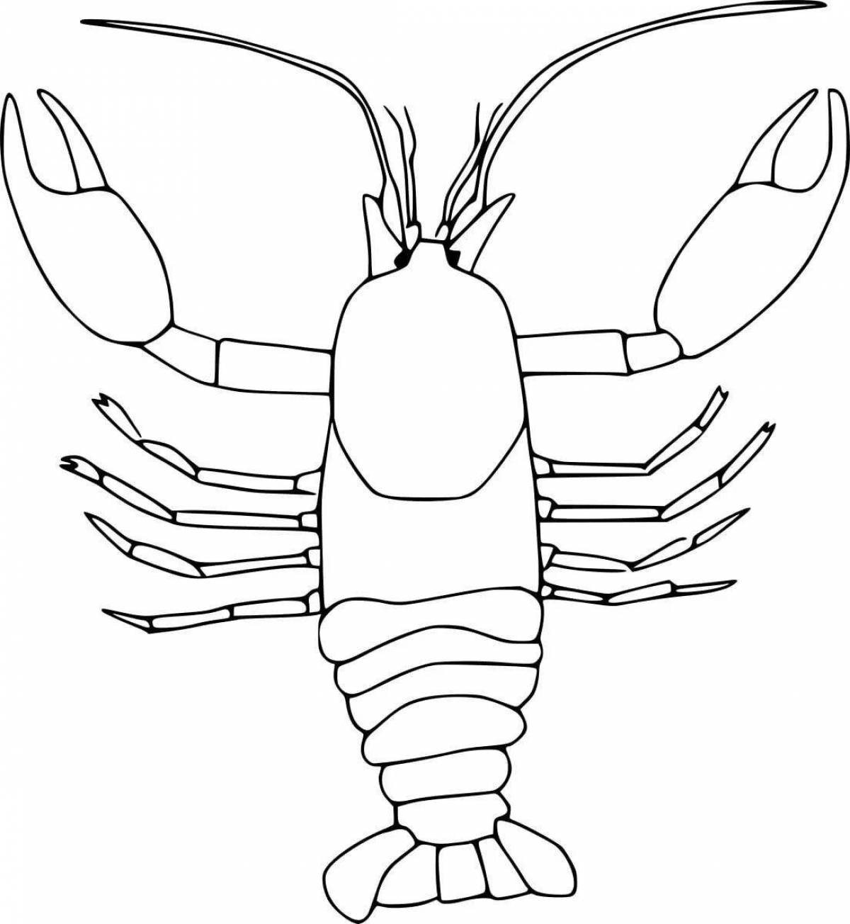 Coloring book shiny lobster