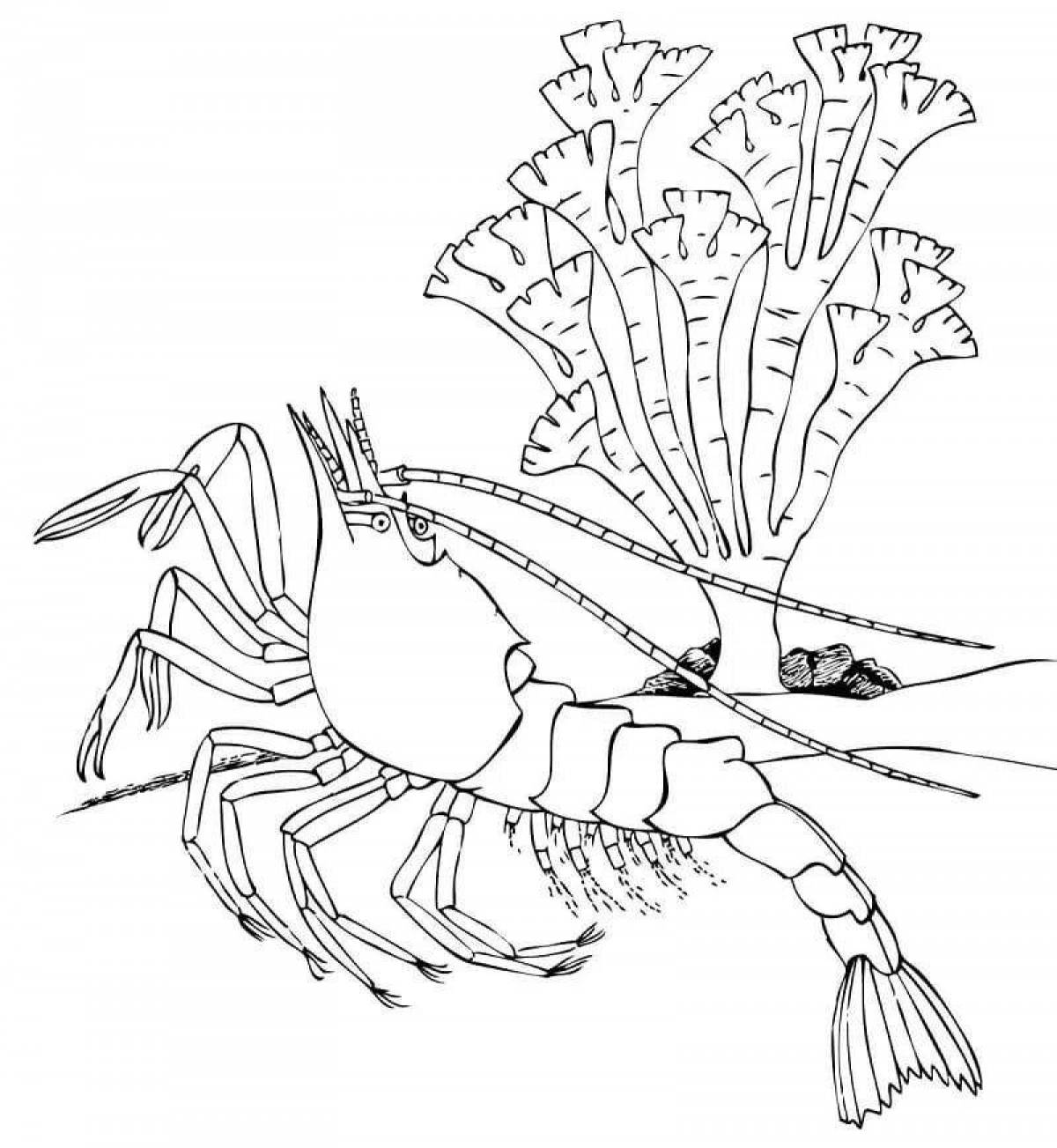 Coloring dazzling spiny lobster
