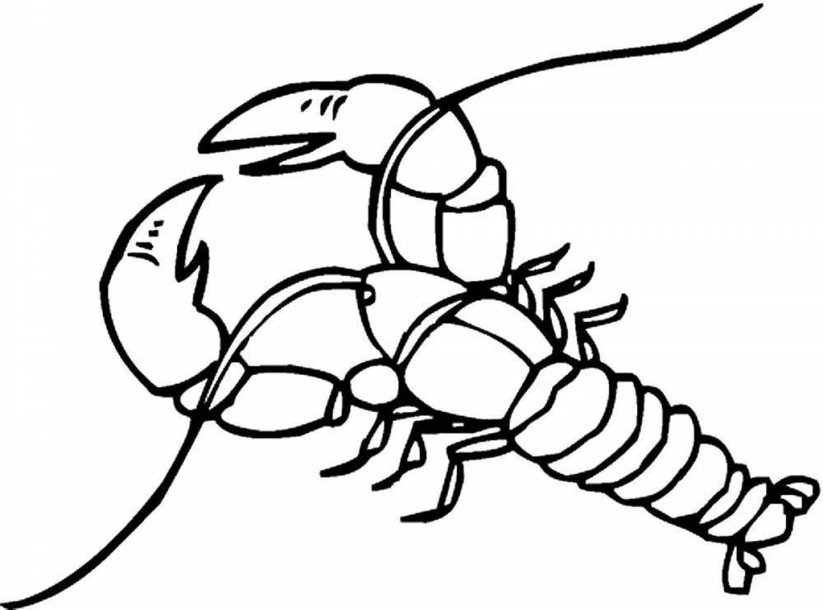 Coloring book amazing spiny lobster