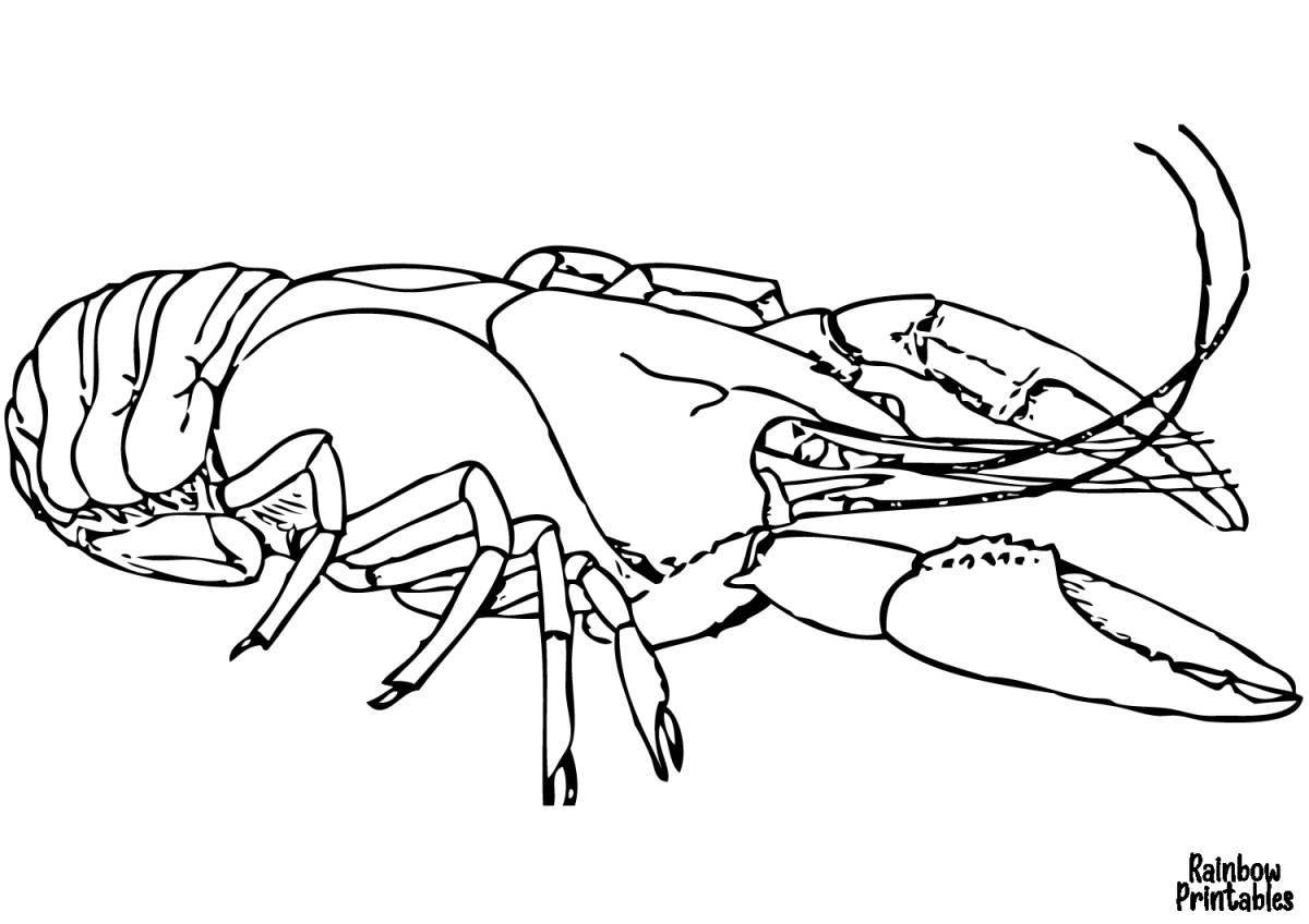 Coloring freaky spiny lobster