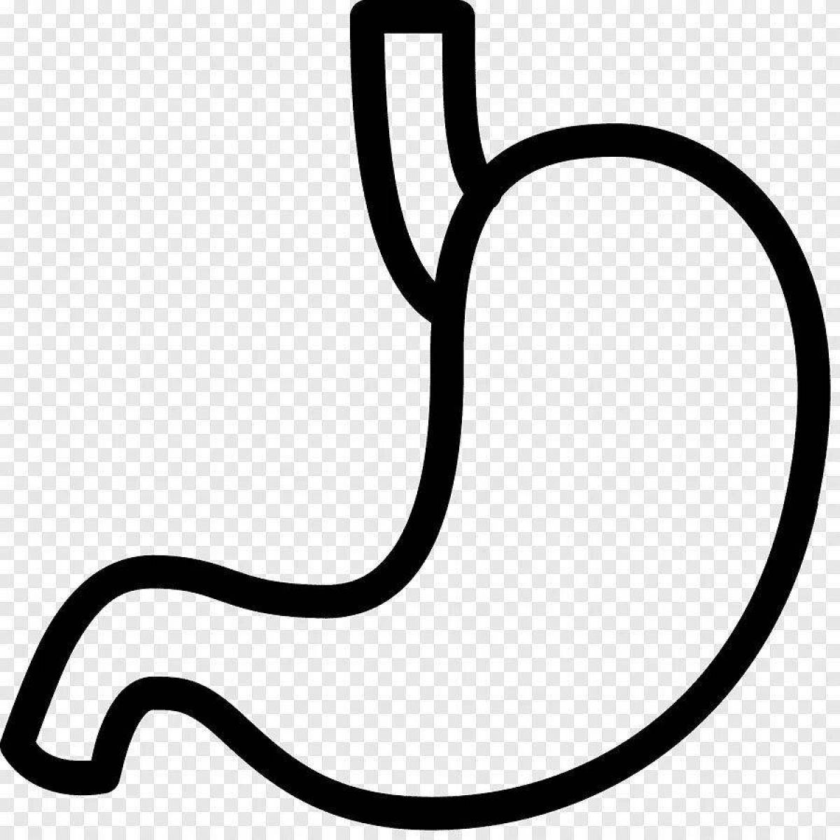 Detailed stomach coloring page