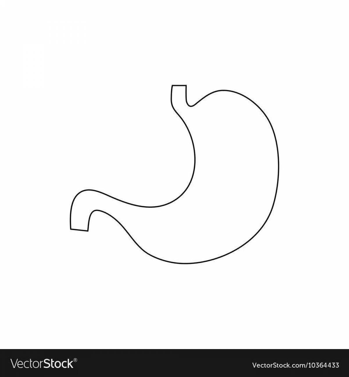 Adorable stomach coloring page