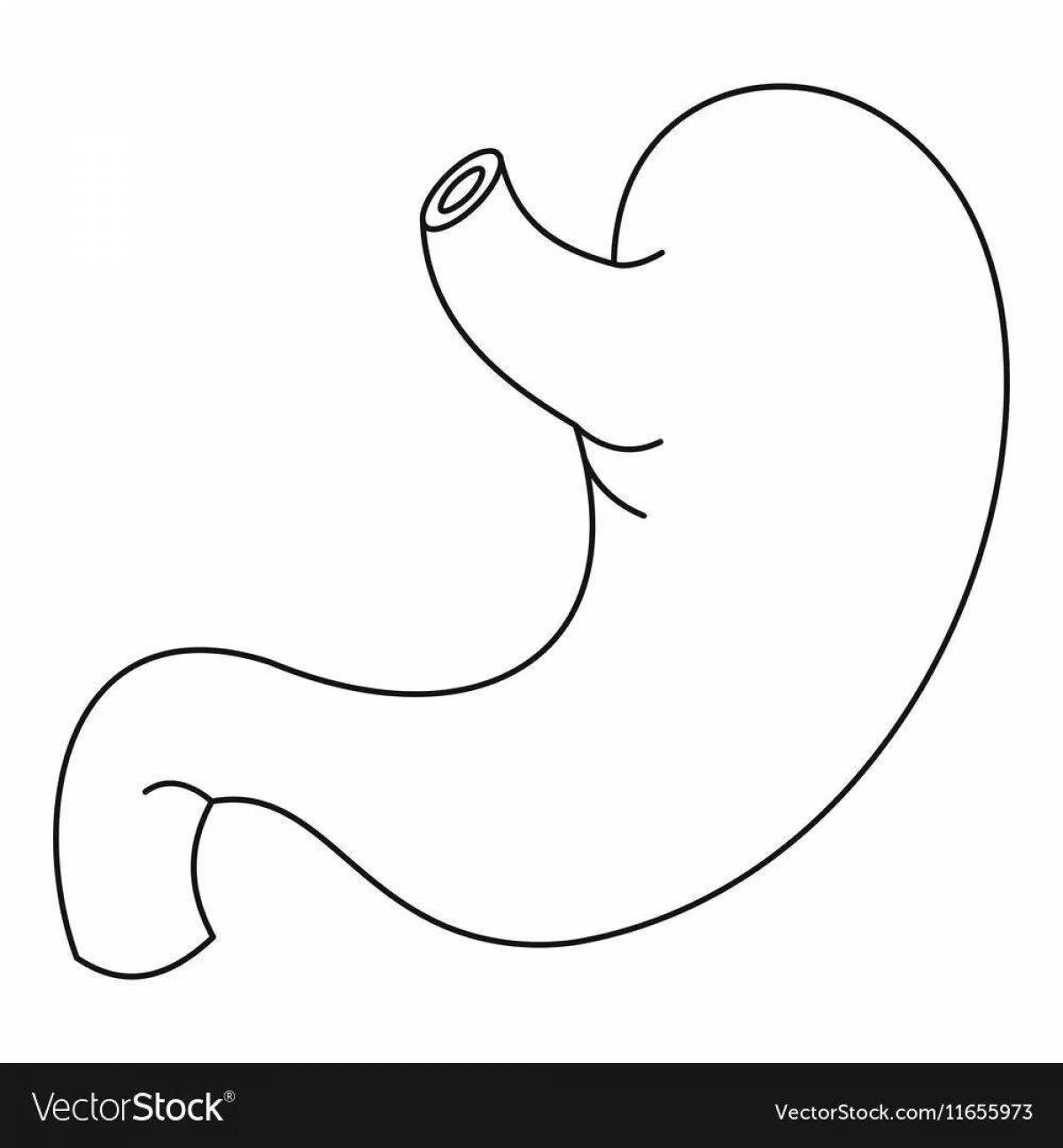 Glowing stomach coloring page