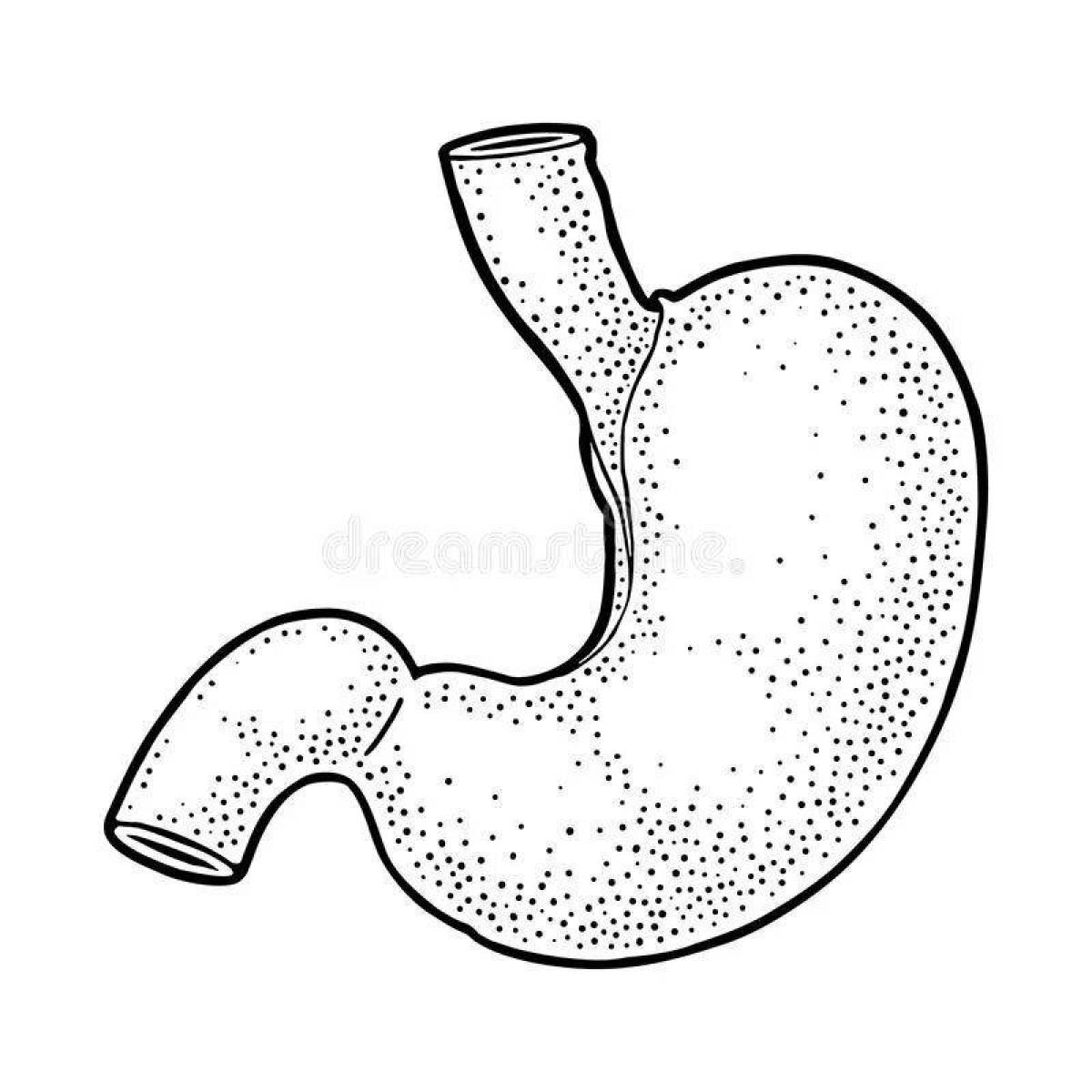Coloring page dazzling stomach