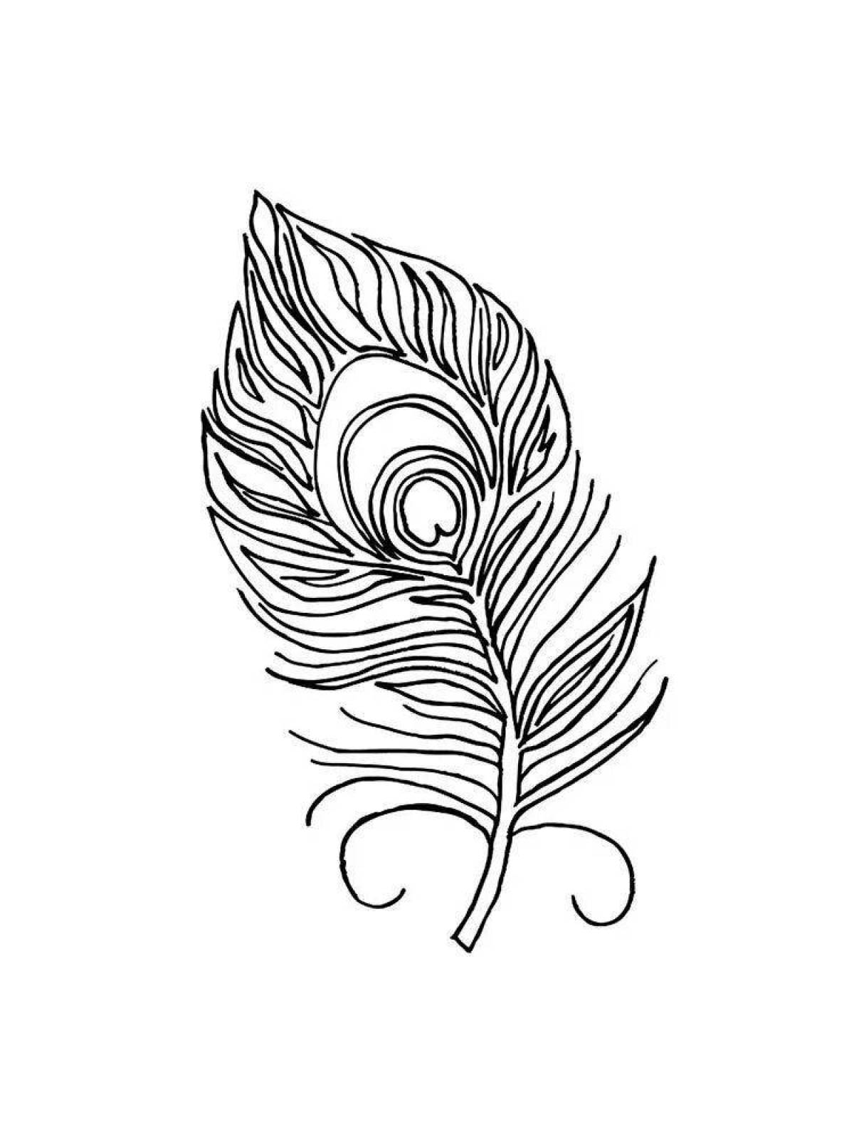 Блестящая страница раскраски павлиньего пера