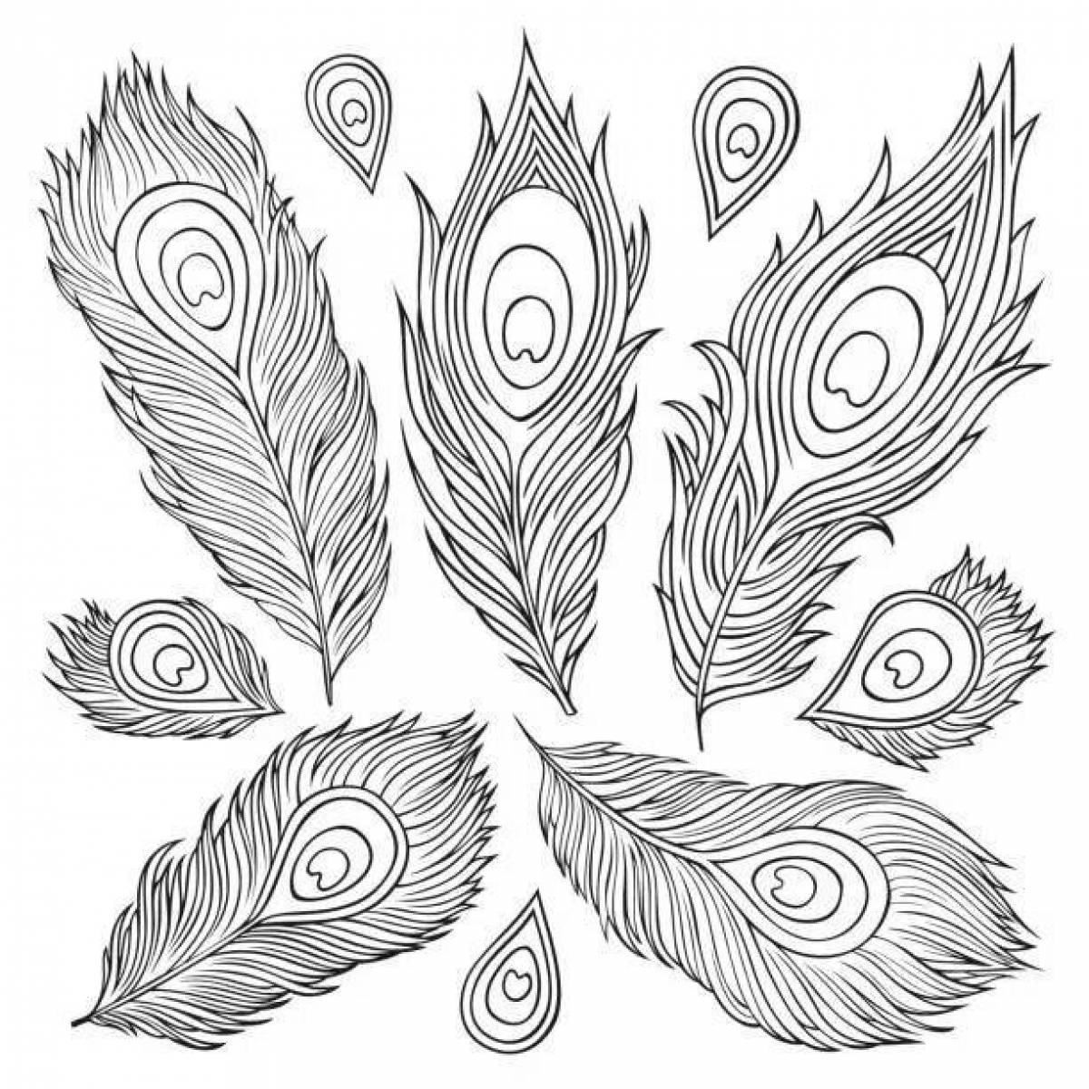 Awesome peacock feather coloring page