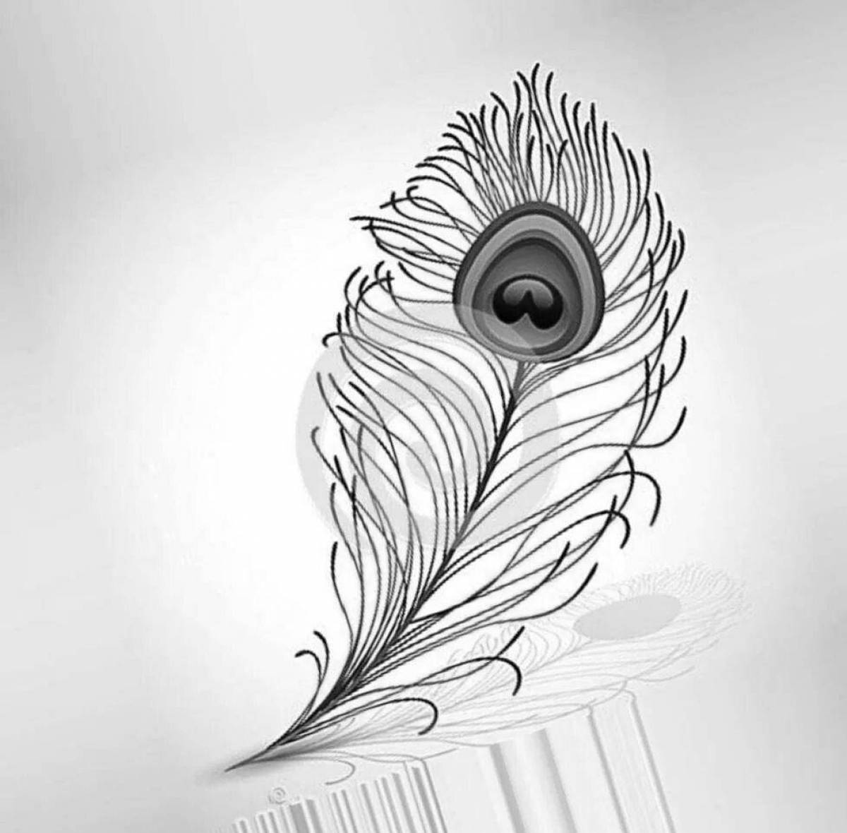 Intricate peacock feather coloring page