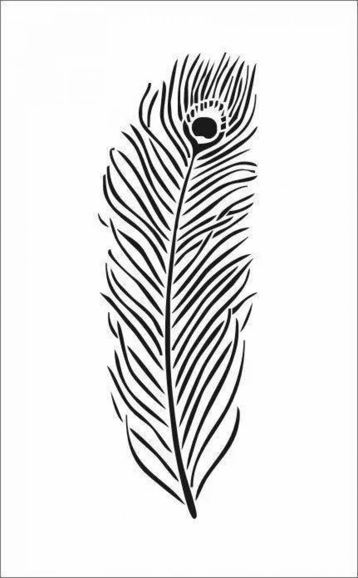 Coloring page gentle peacock feather
