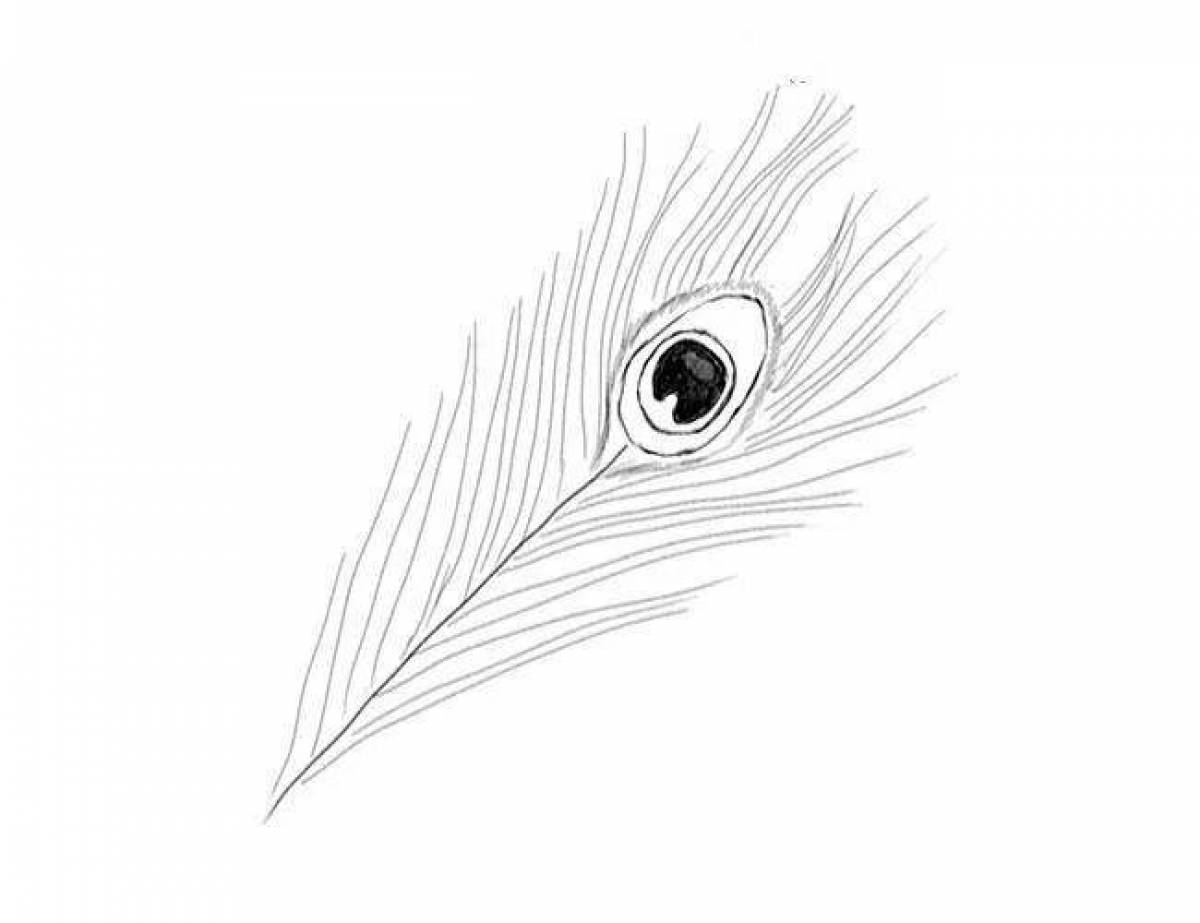 Fine peacock feather coloring page