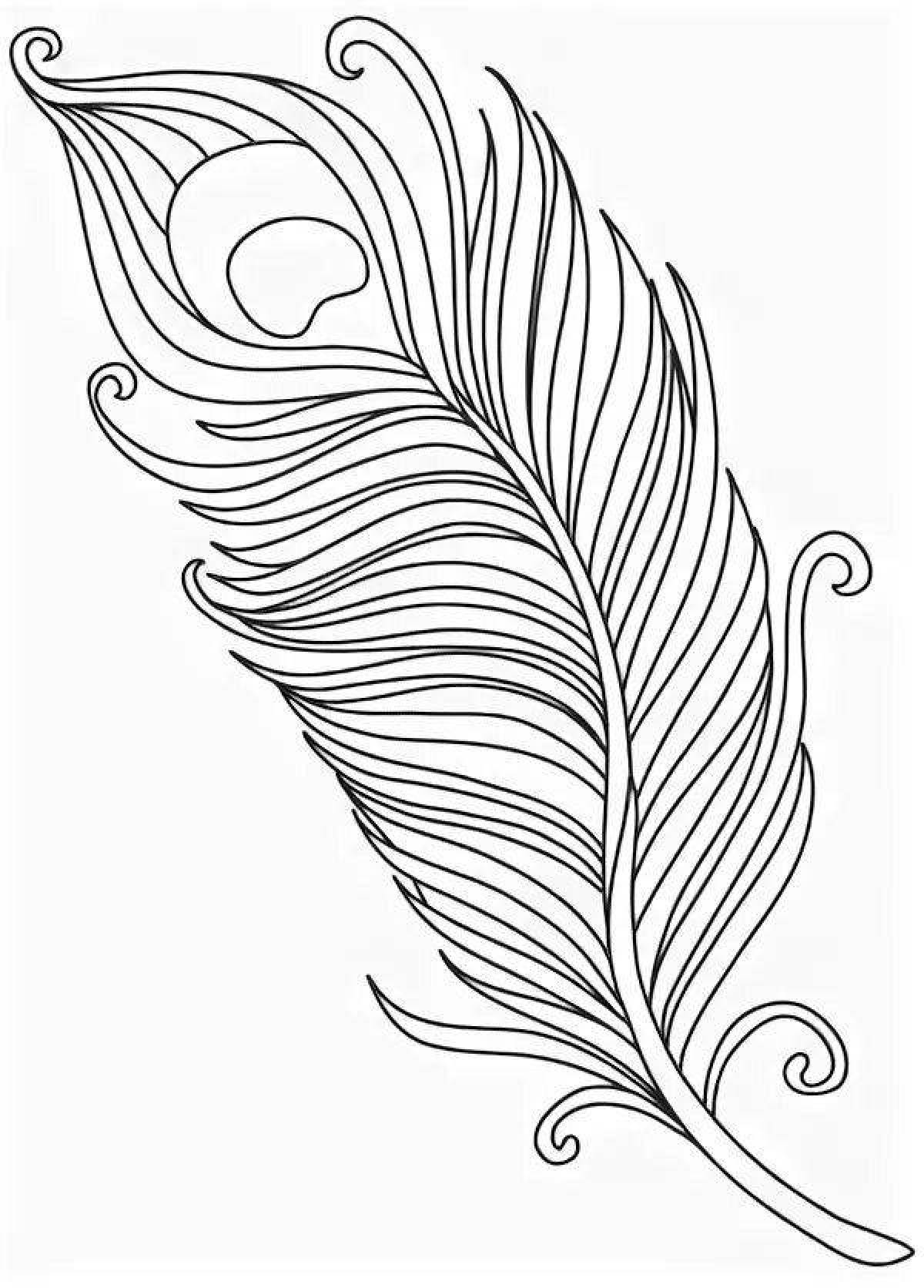 Coloring art peacock feather