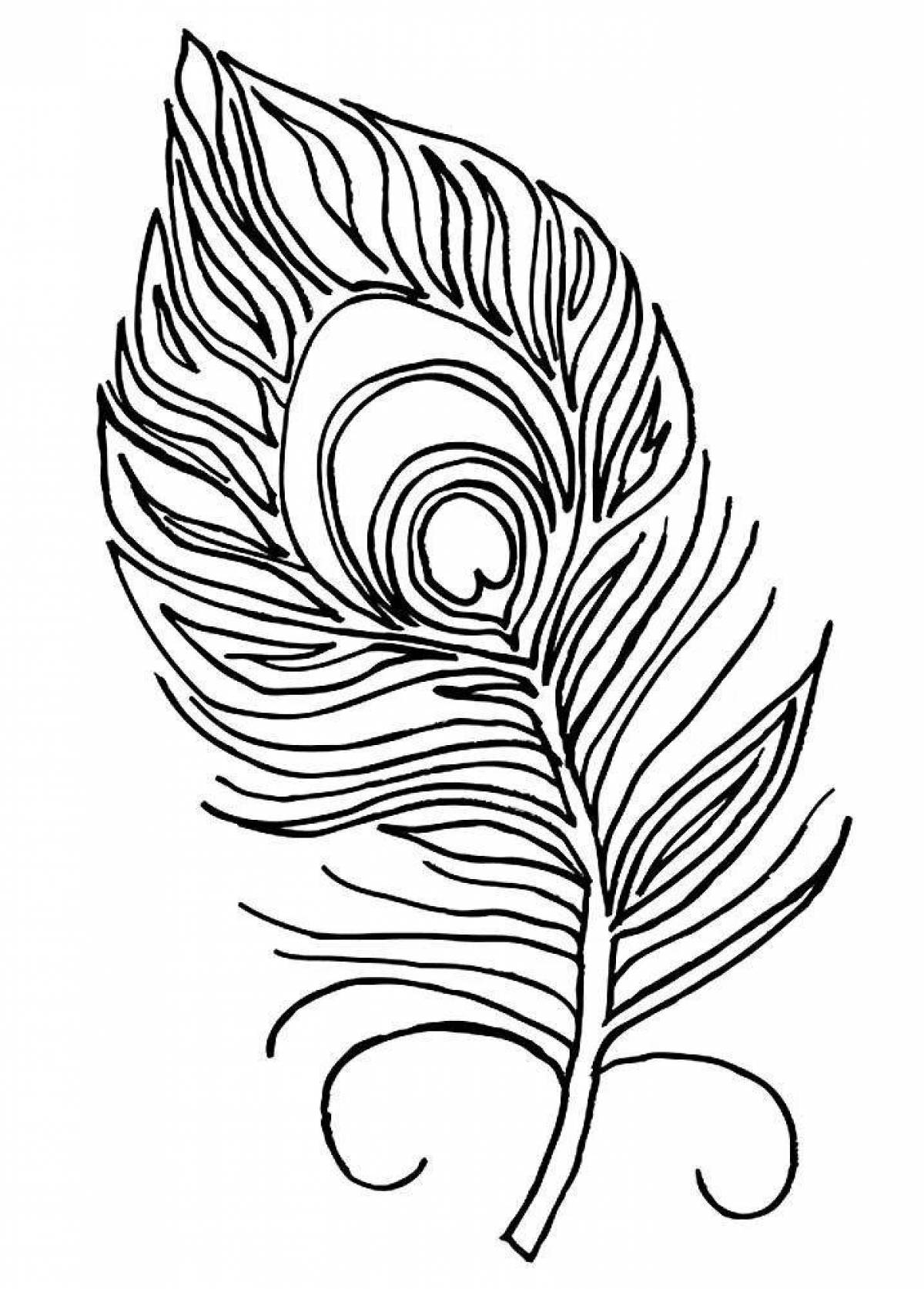 Generous peacock feather coloring page