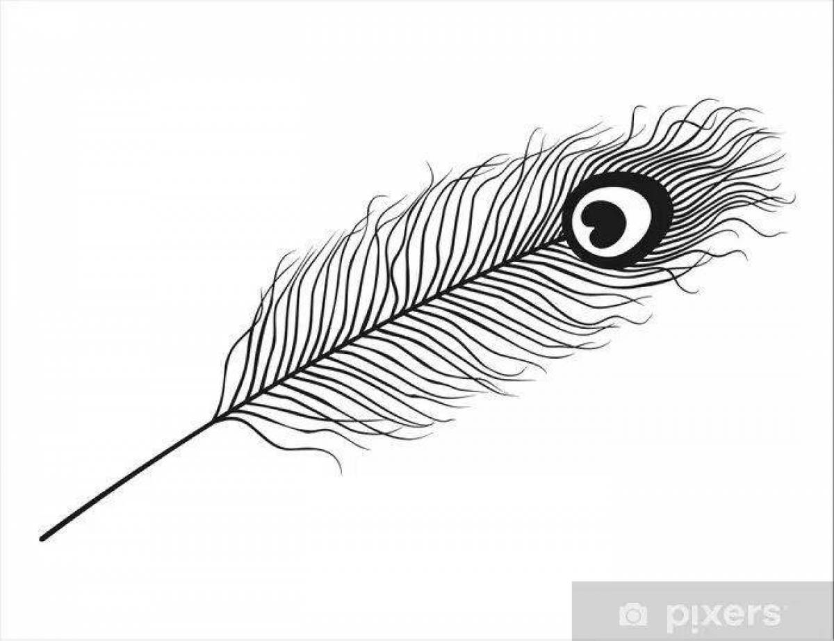 Coloring page unusual peacock feathers