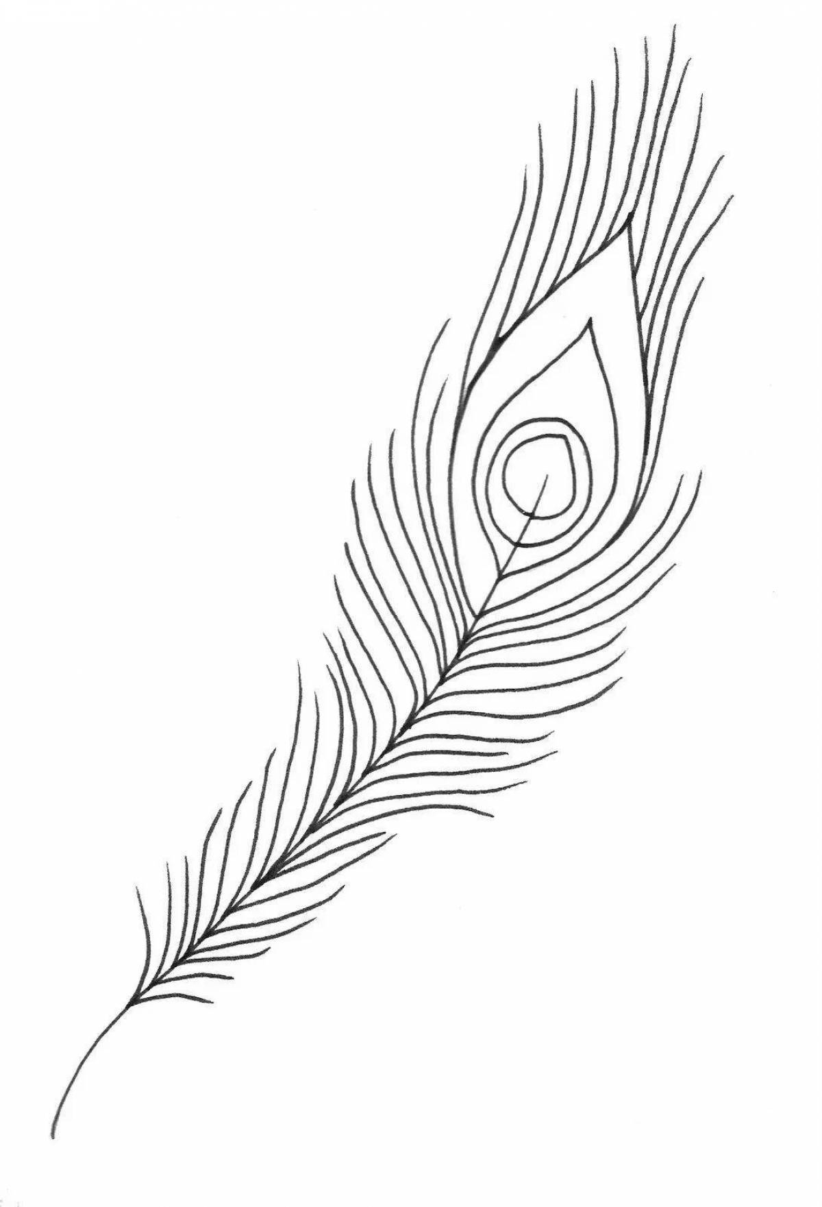 Детализированная страница раскраски павлиньего пера