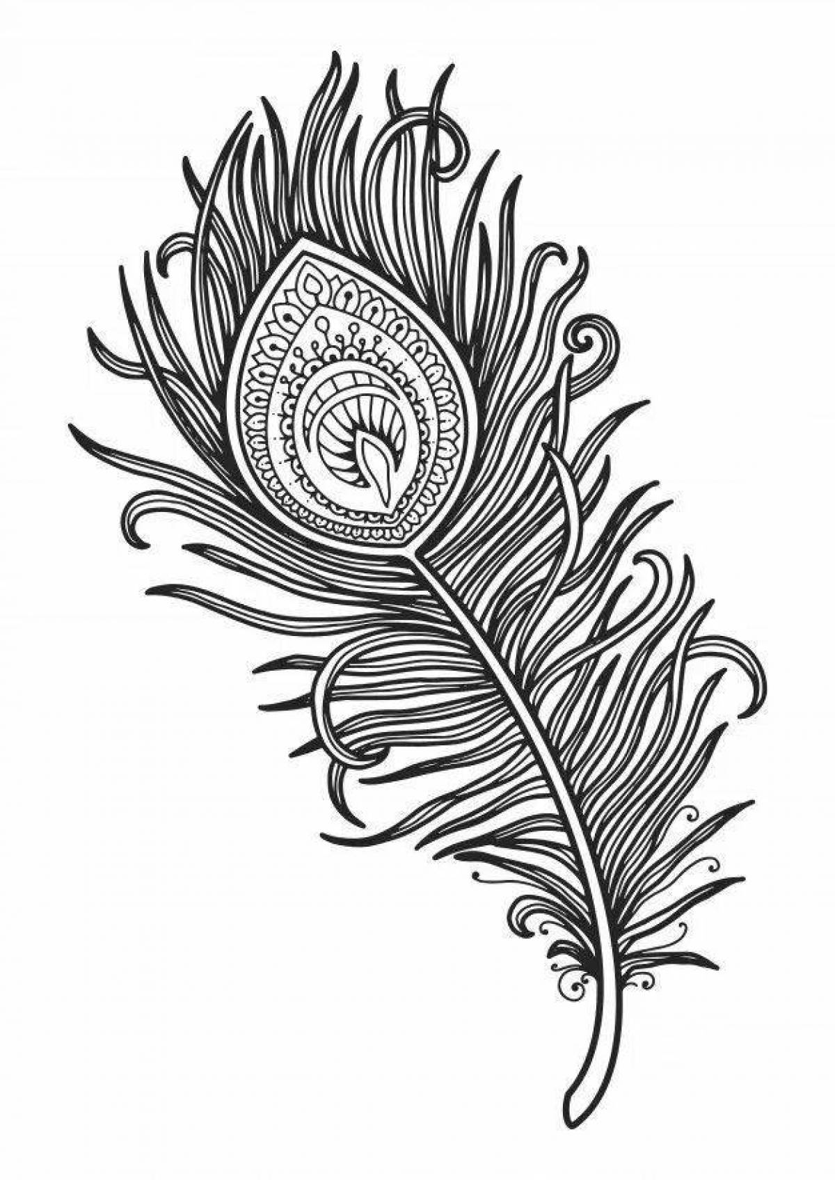 Adorable peacock feather coloring page
