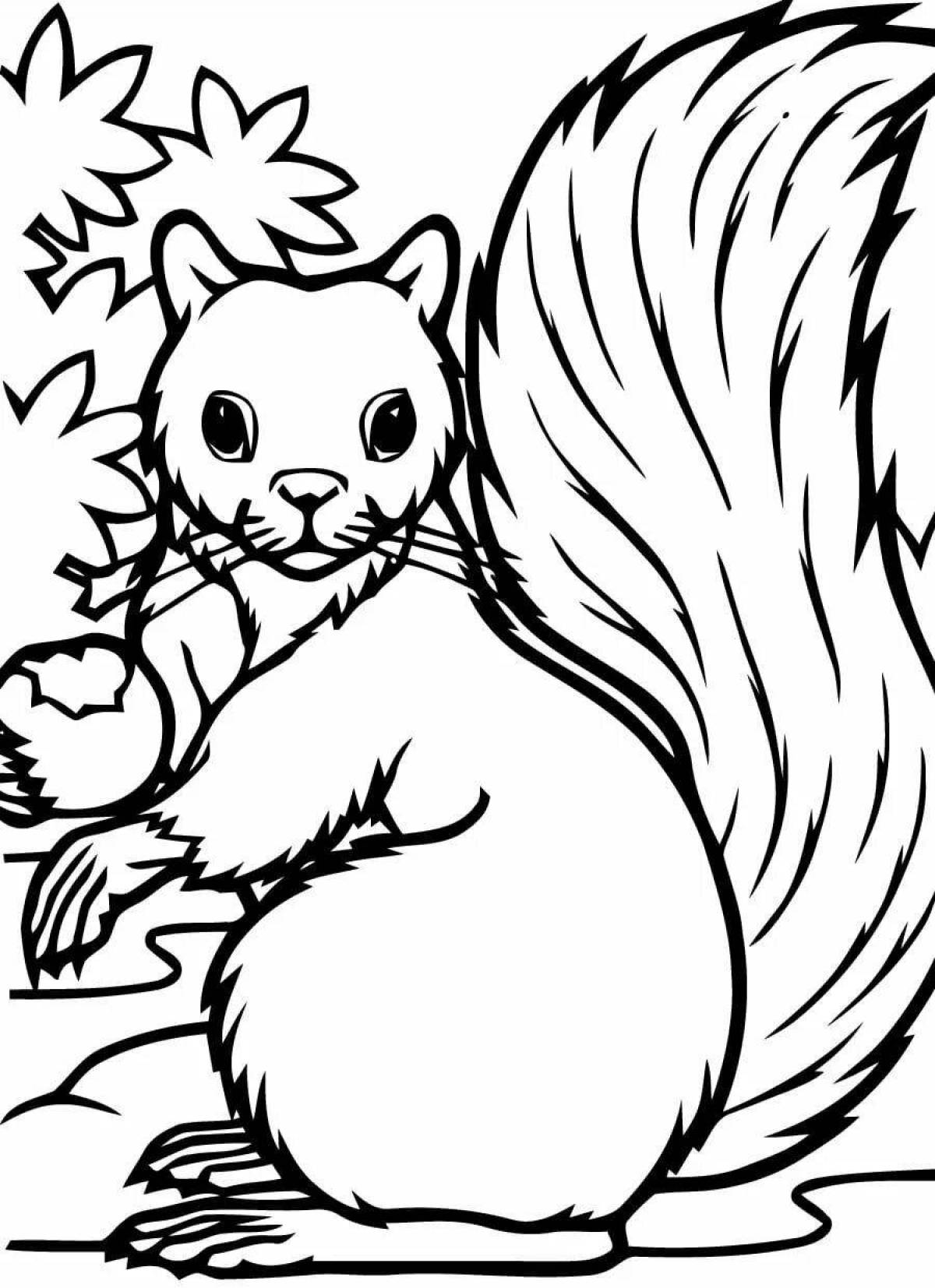 Attractive coloring squirrel drawing