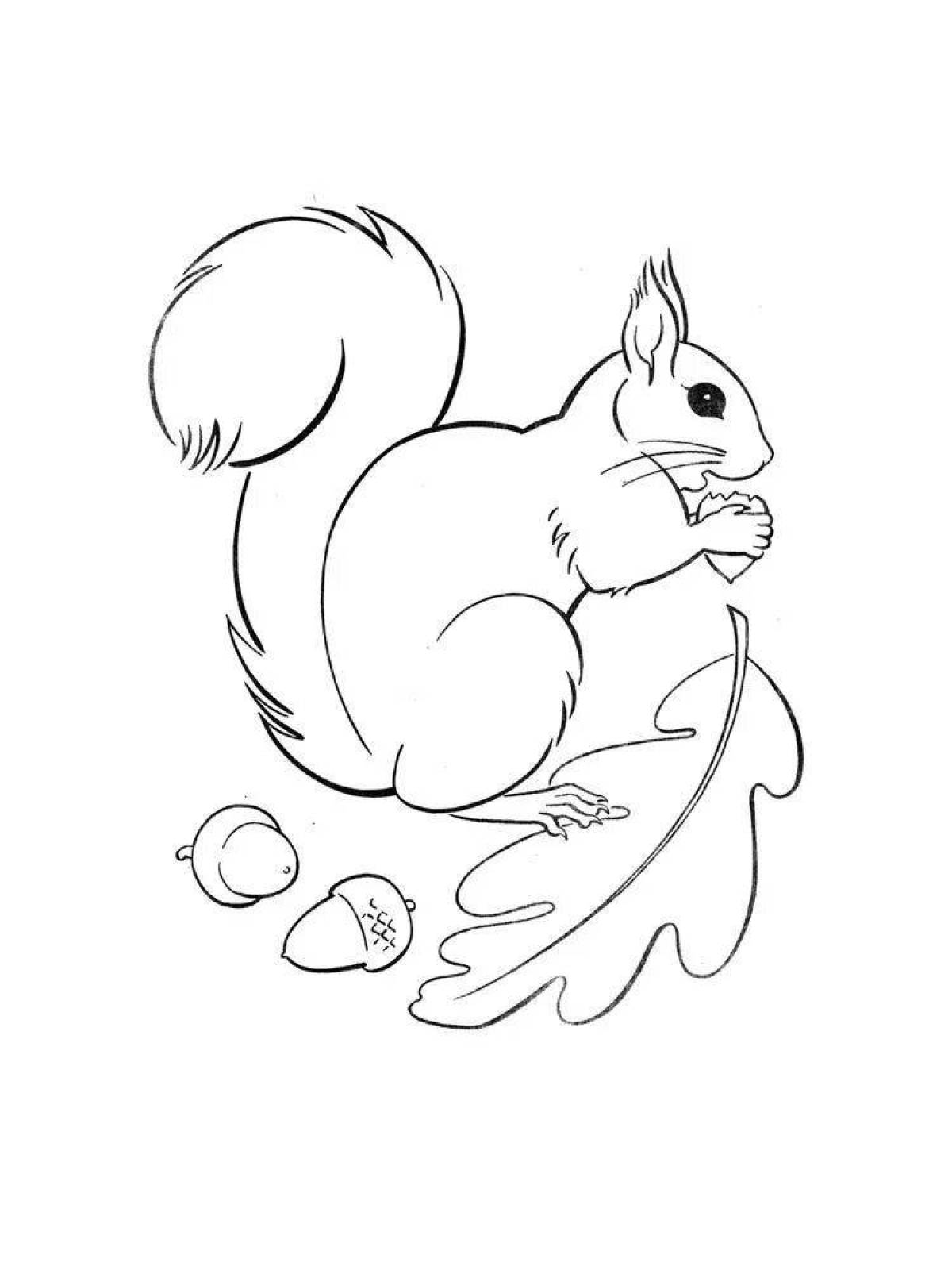 Large coloring squirrel drawing