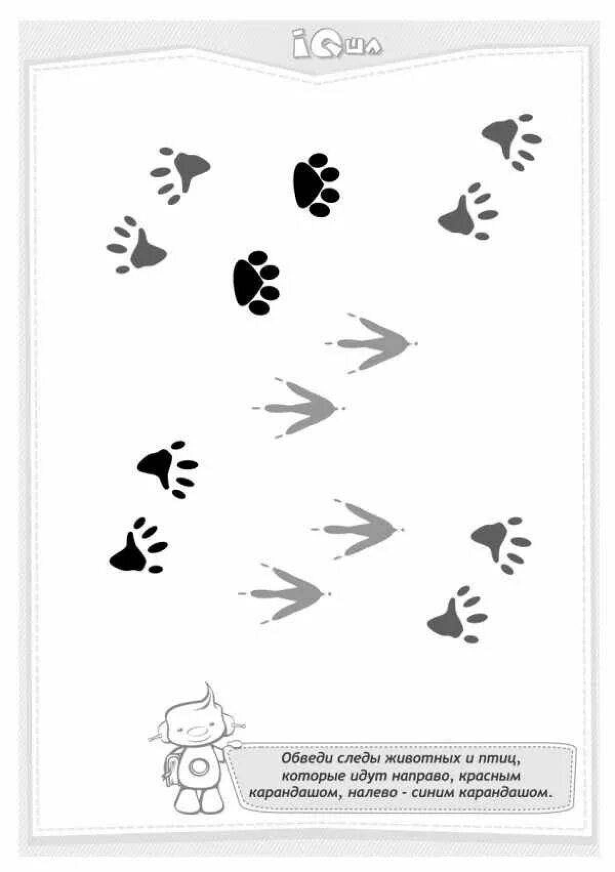 Playful animal footprint coloring page