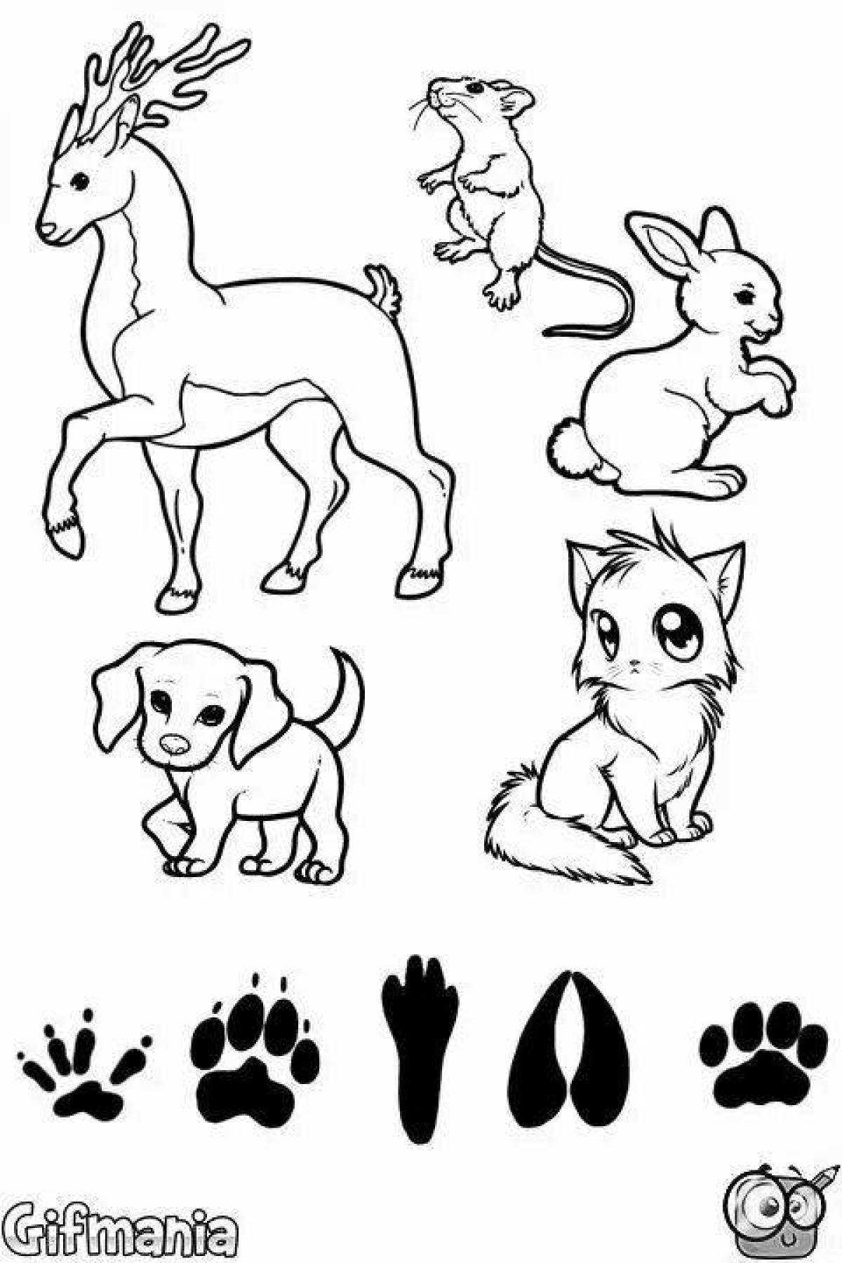 Exciting animal footprint coloring pages