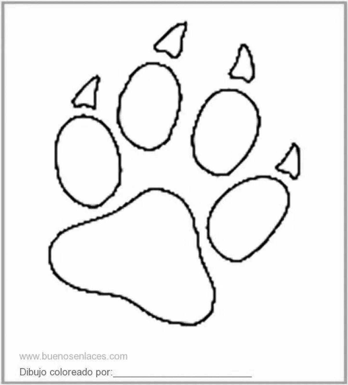 Coloring animal footprints