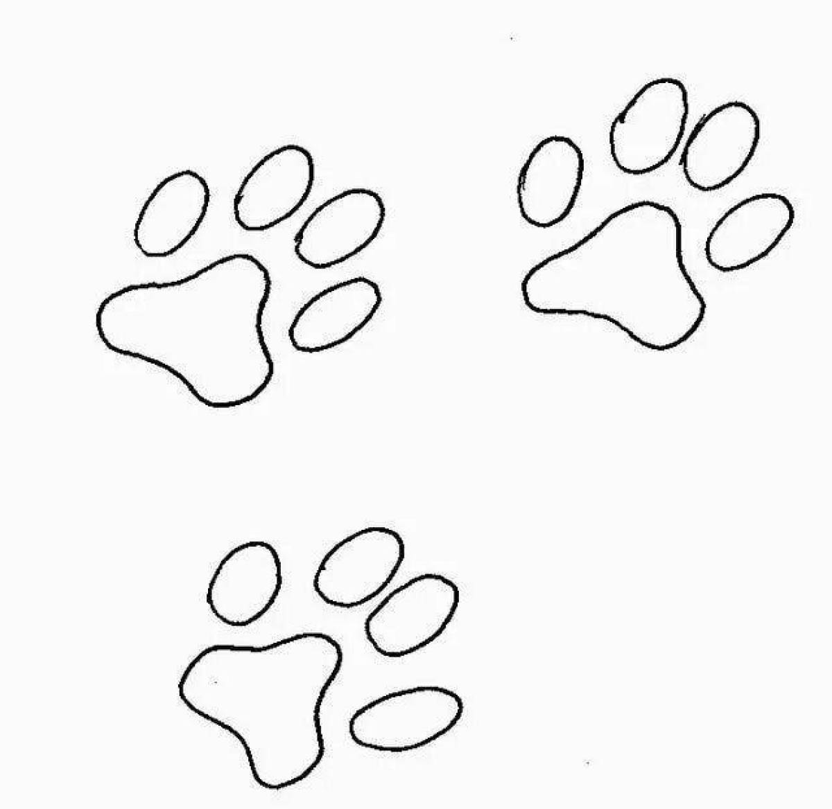 Creative coloring animal footprints