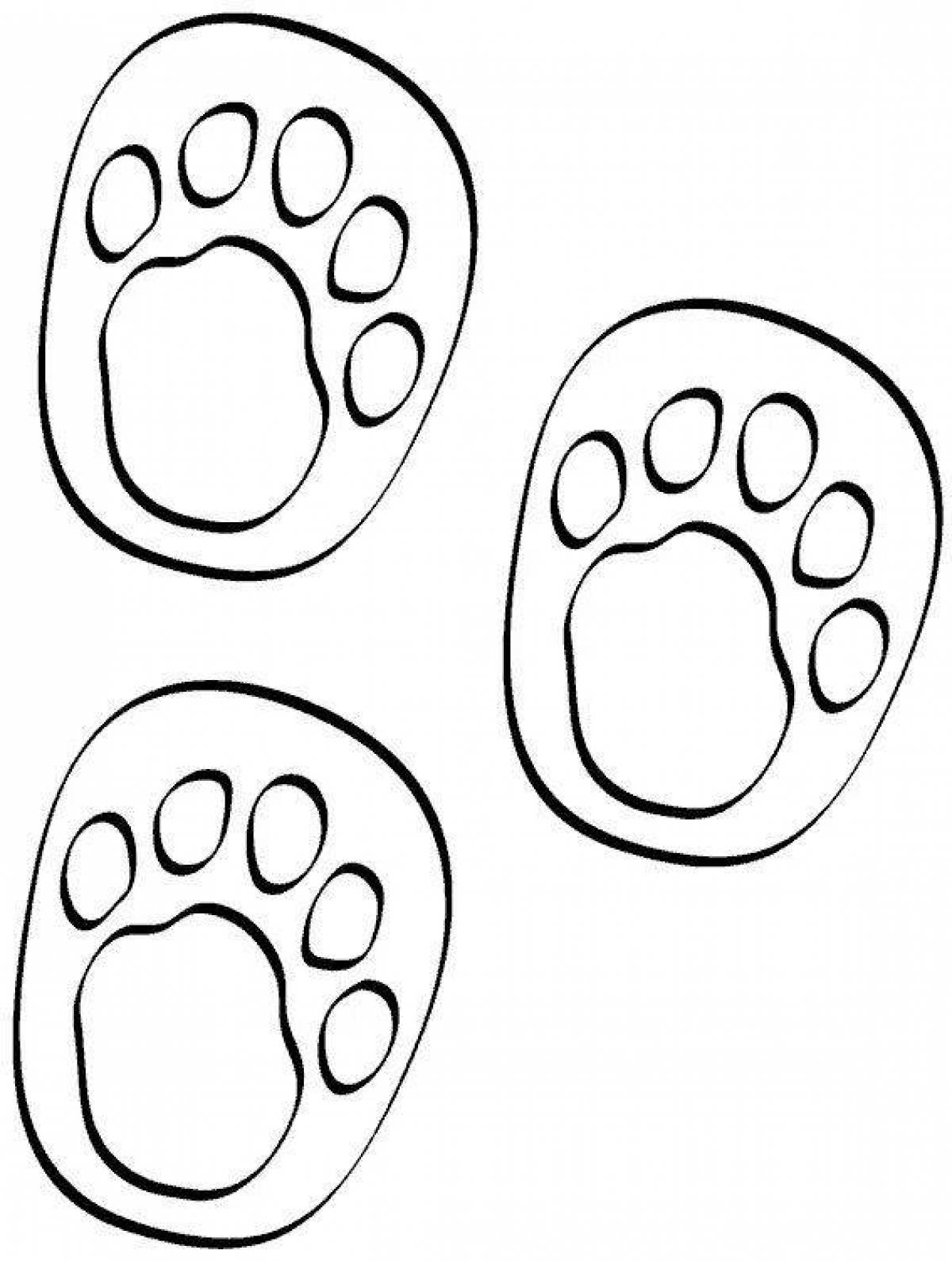 Colored animal footprints